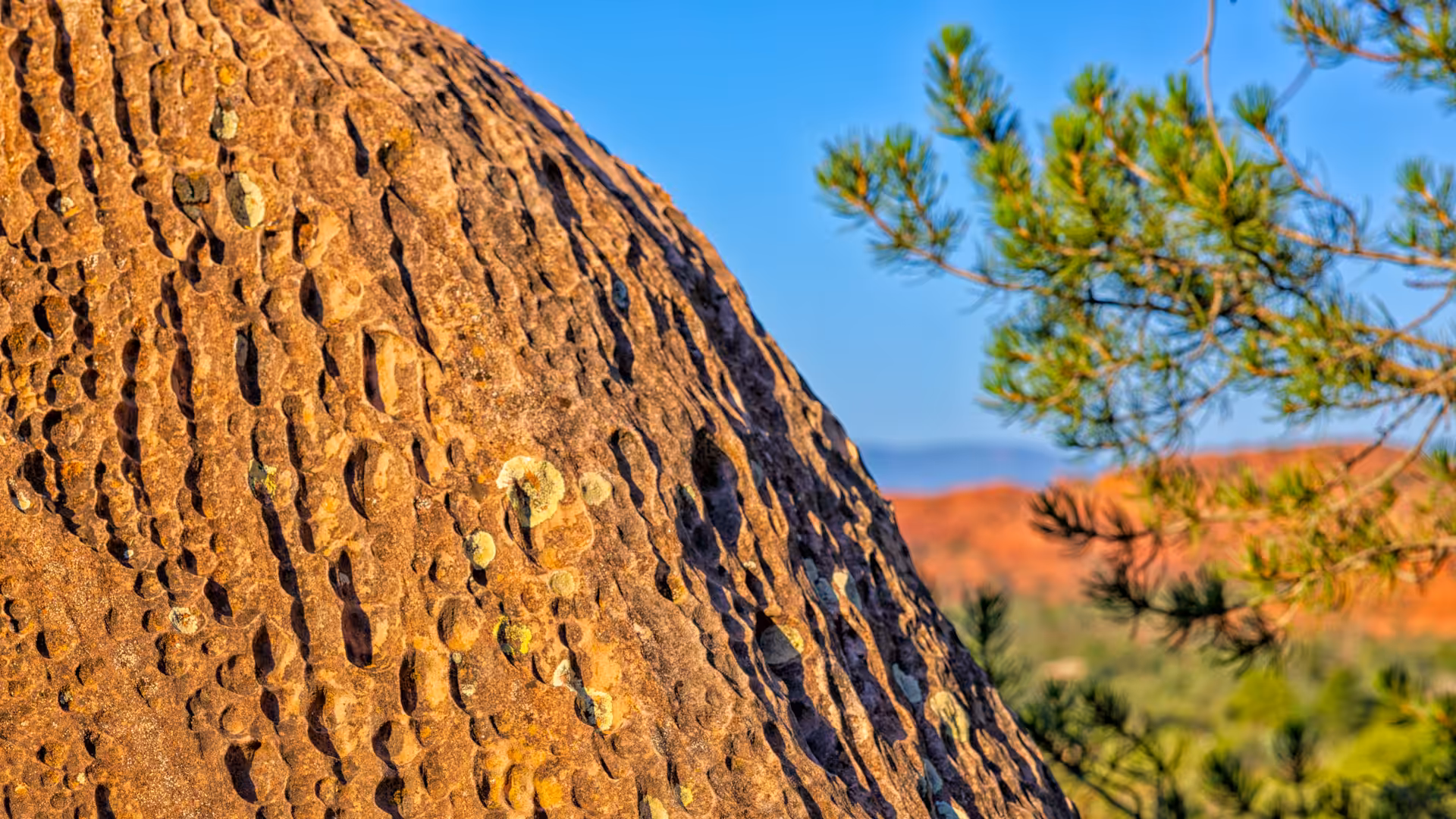 Alligator Rock
