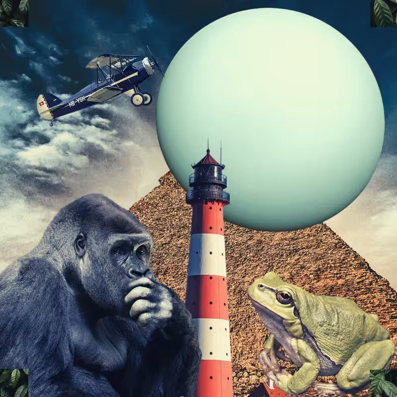 Banana & Pepe on mysterious trips #6