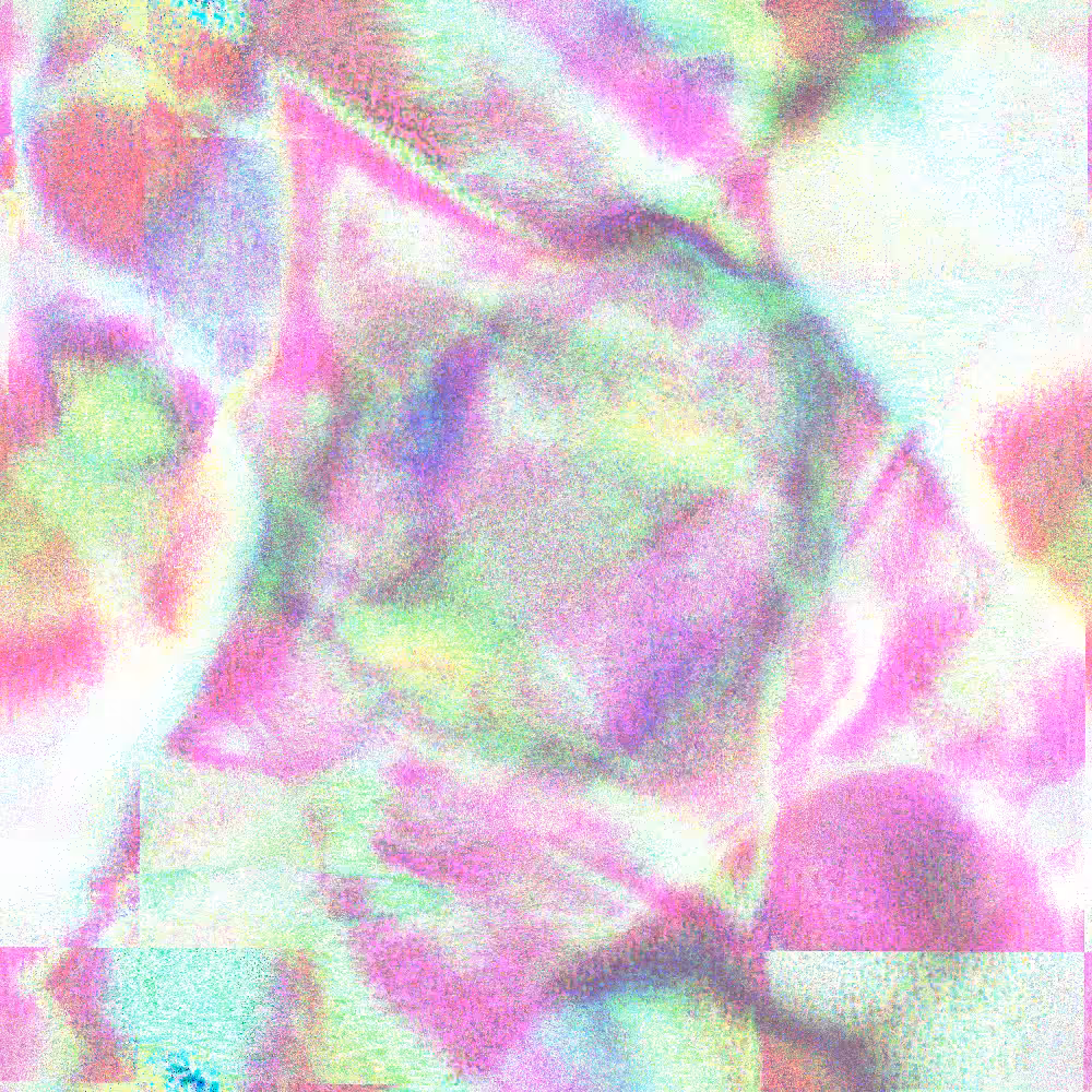Abstract Activities #5 #3