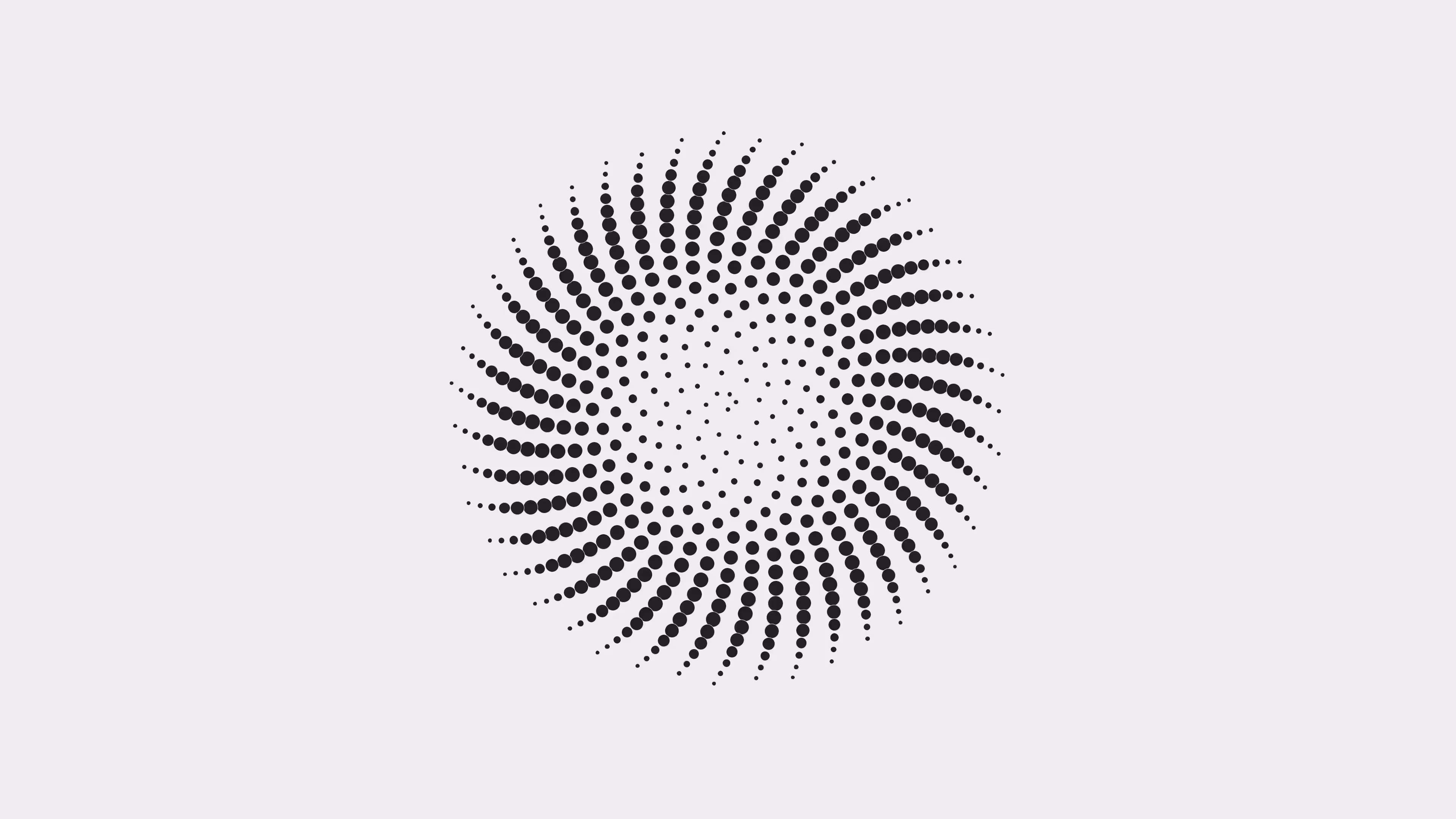 phyllo_still_01