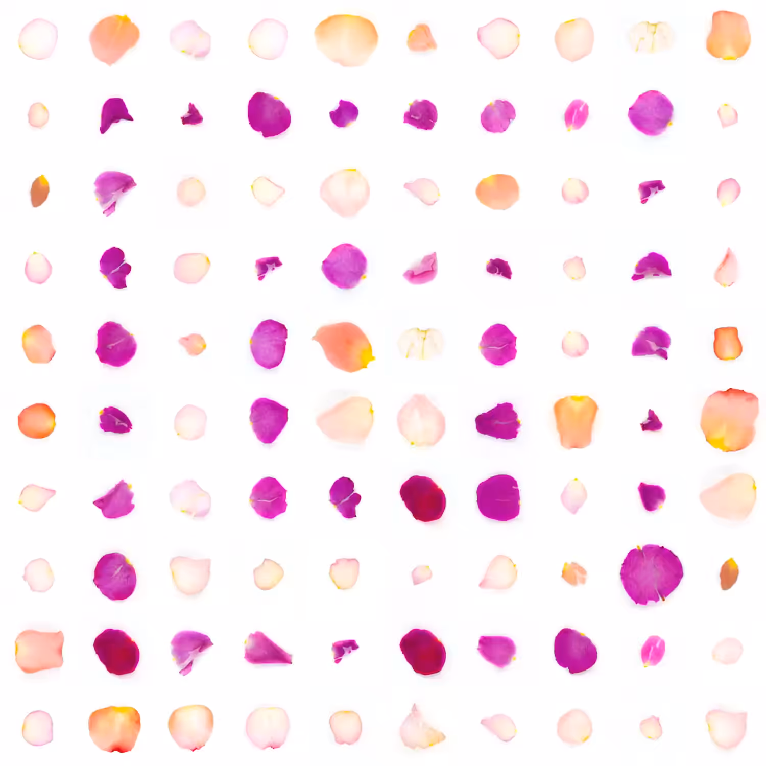 Infinite Petals 10x10#1861