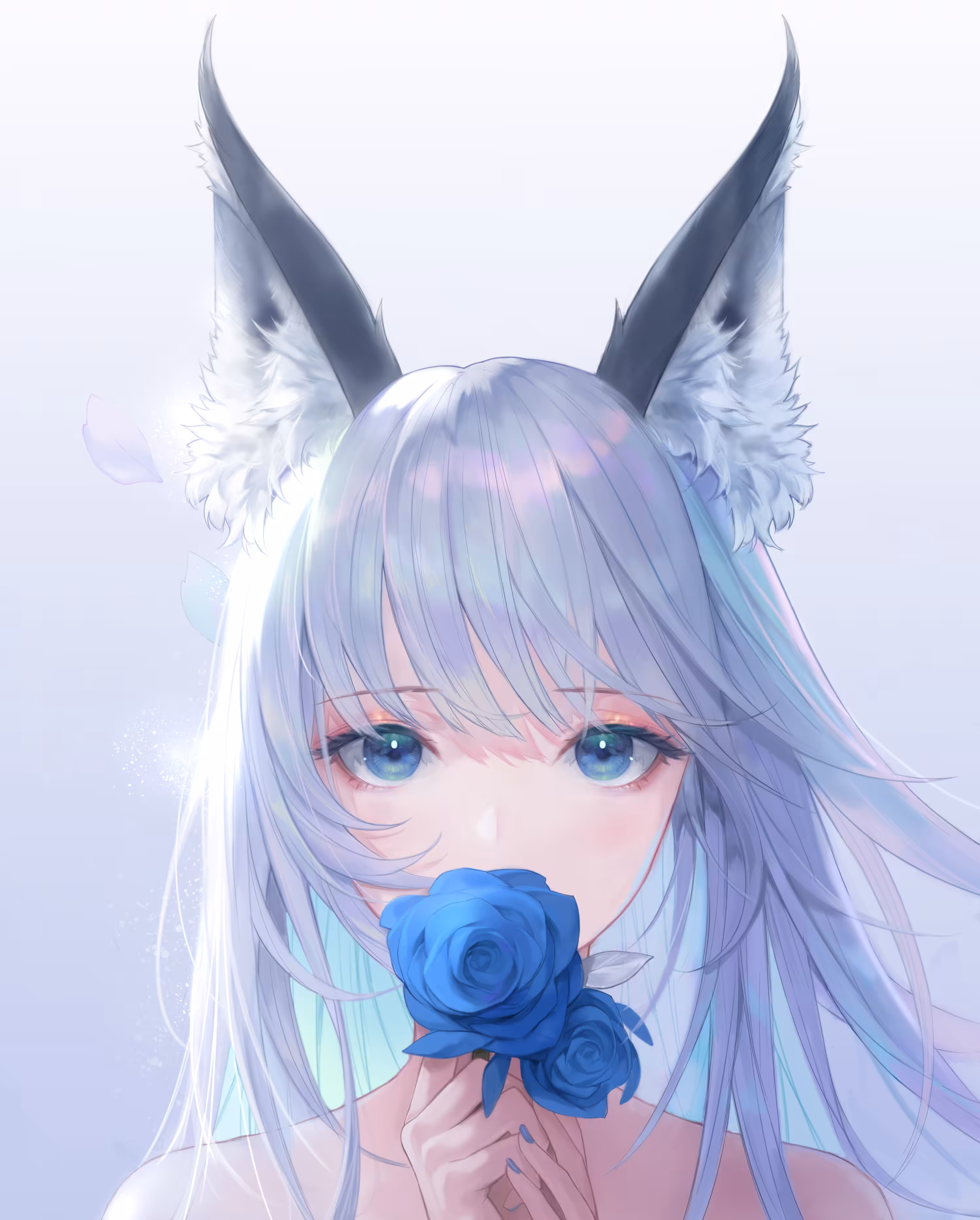 Fox got blue