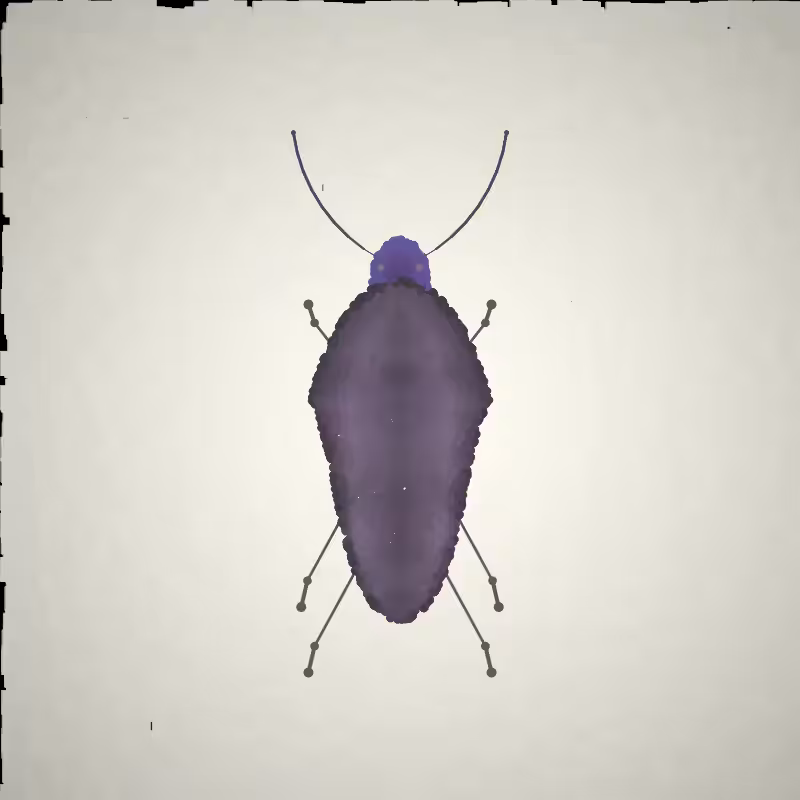 Beetle Sketches #14