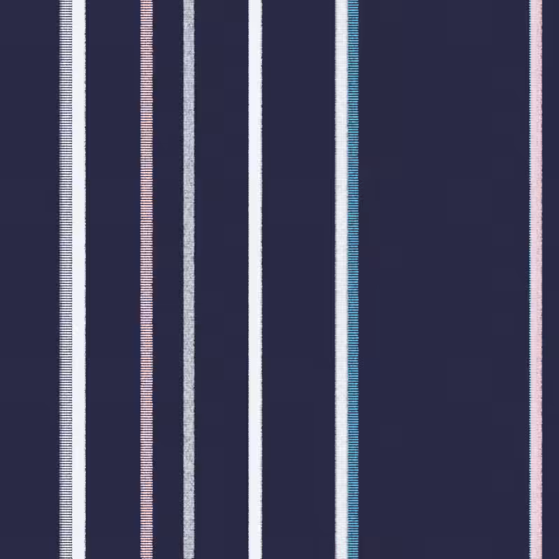 Stripes #29