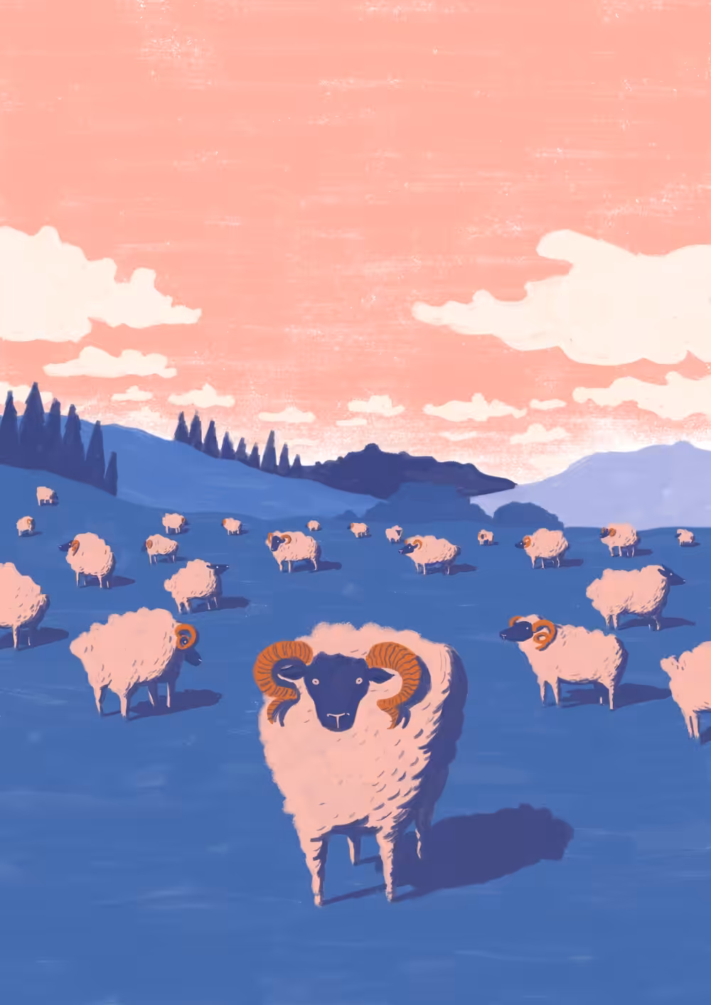 Flock of sheep