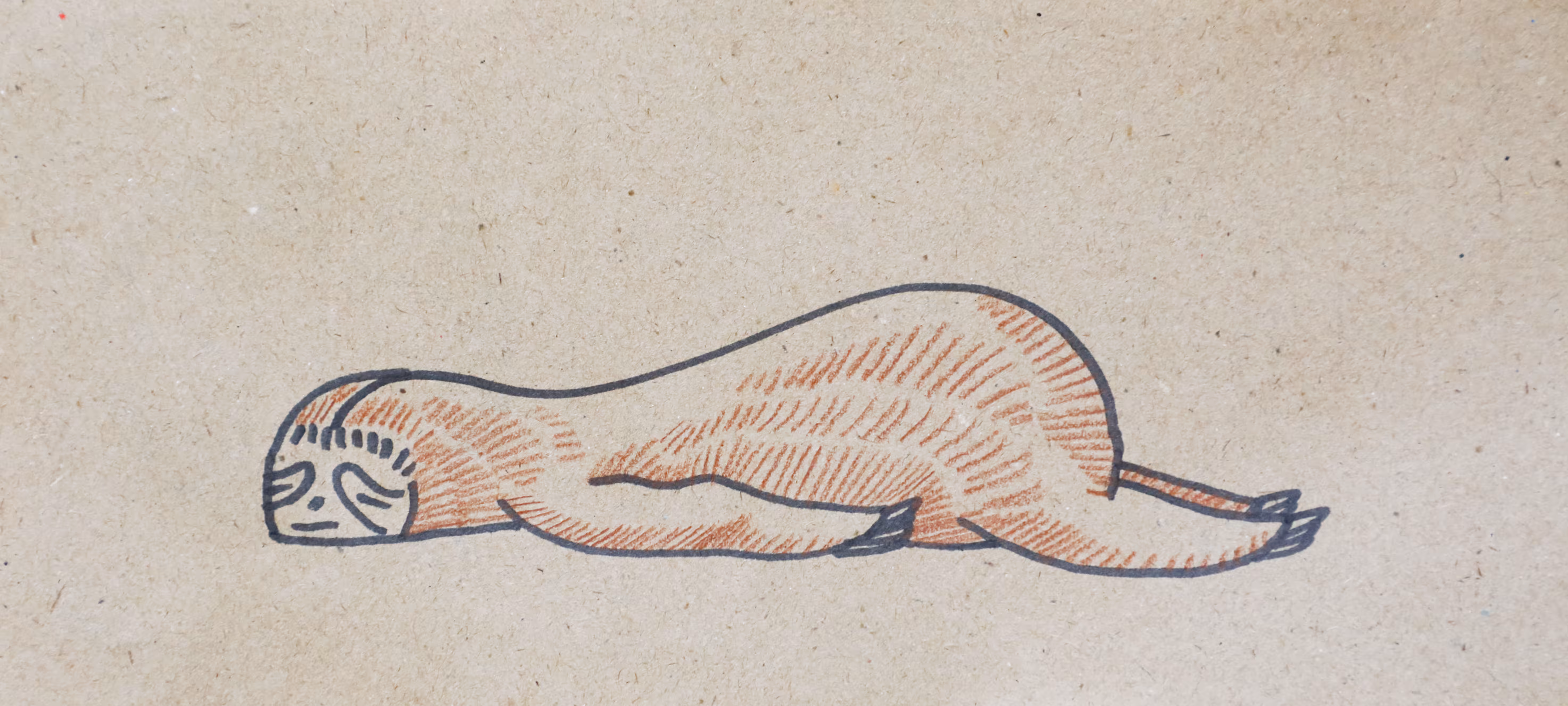 #20 Sleepy Sloth