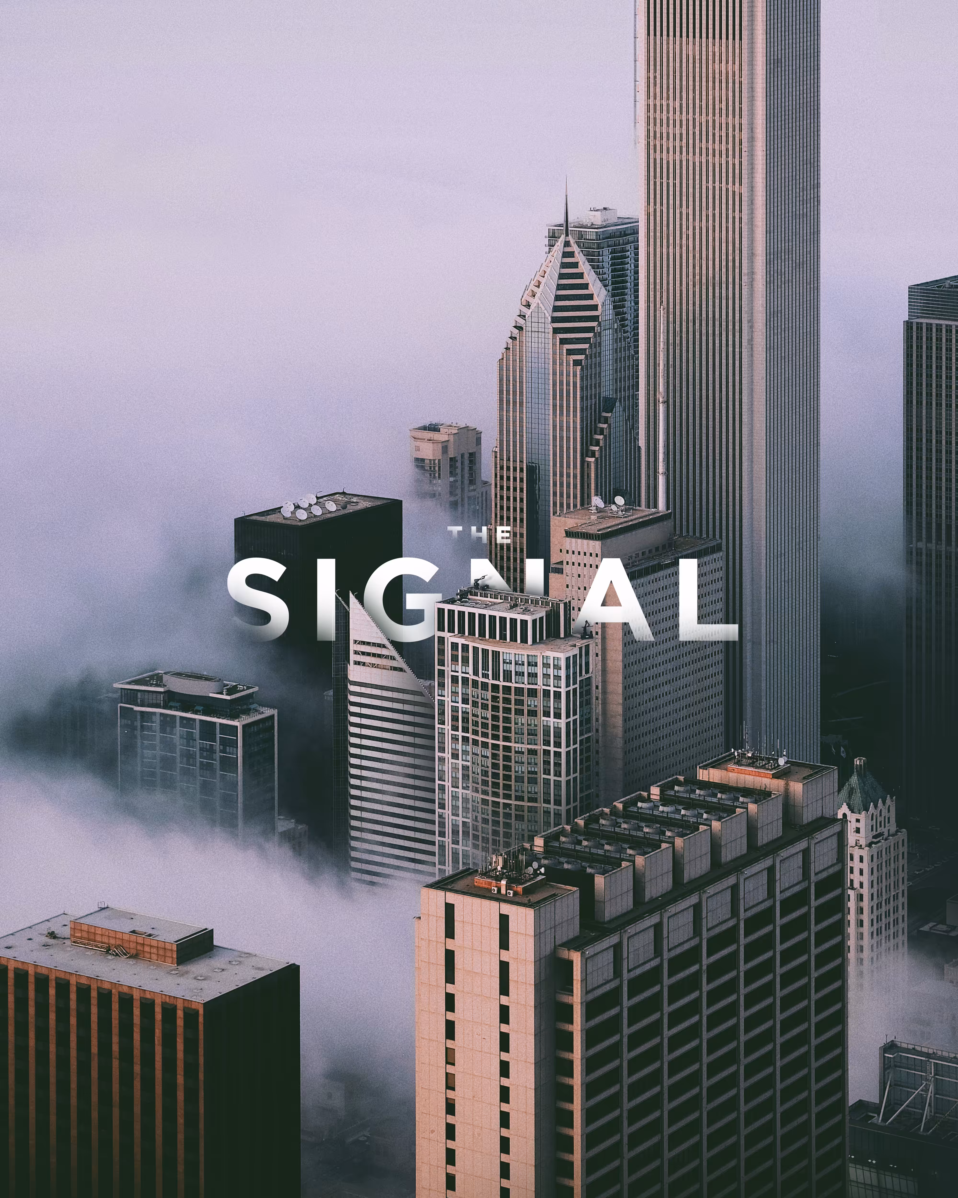 THE SIGNAL | 2019