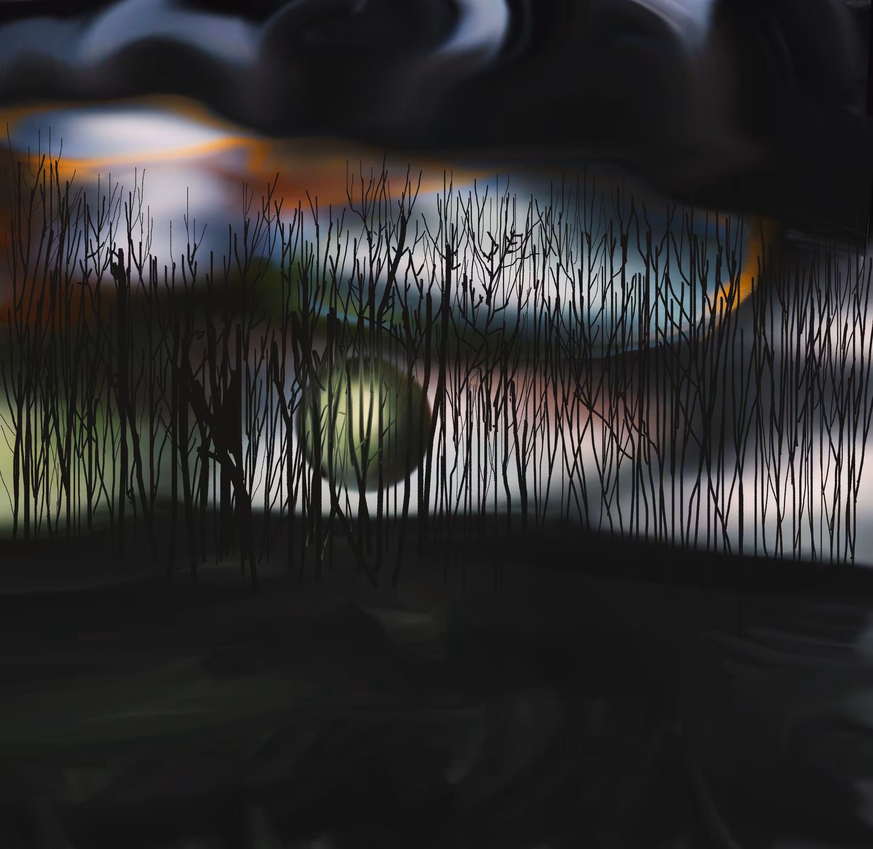 landscape