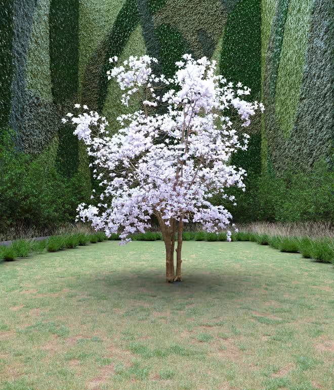 Garden of Imagination #61