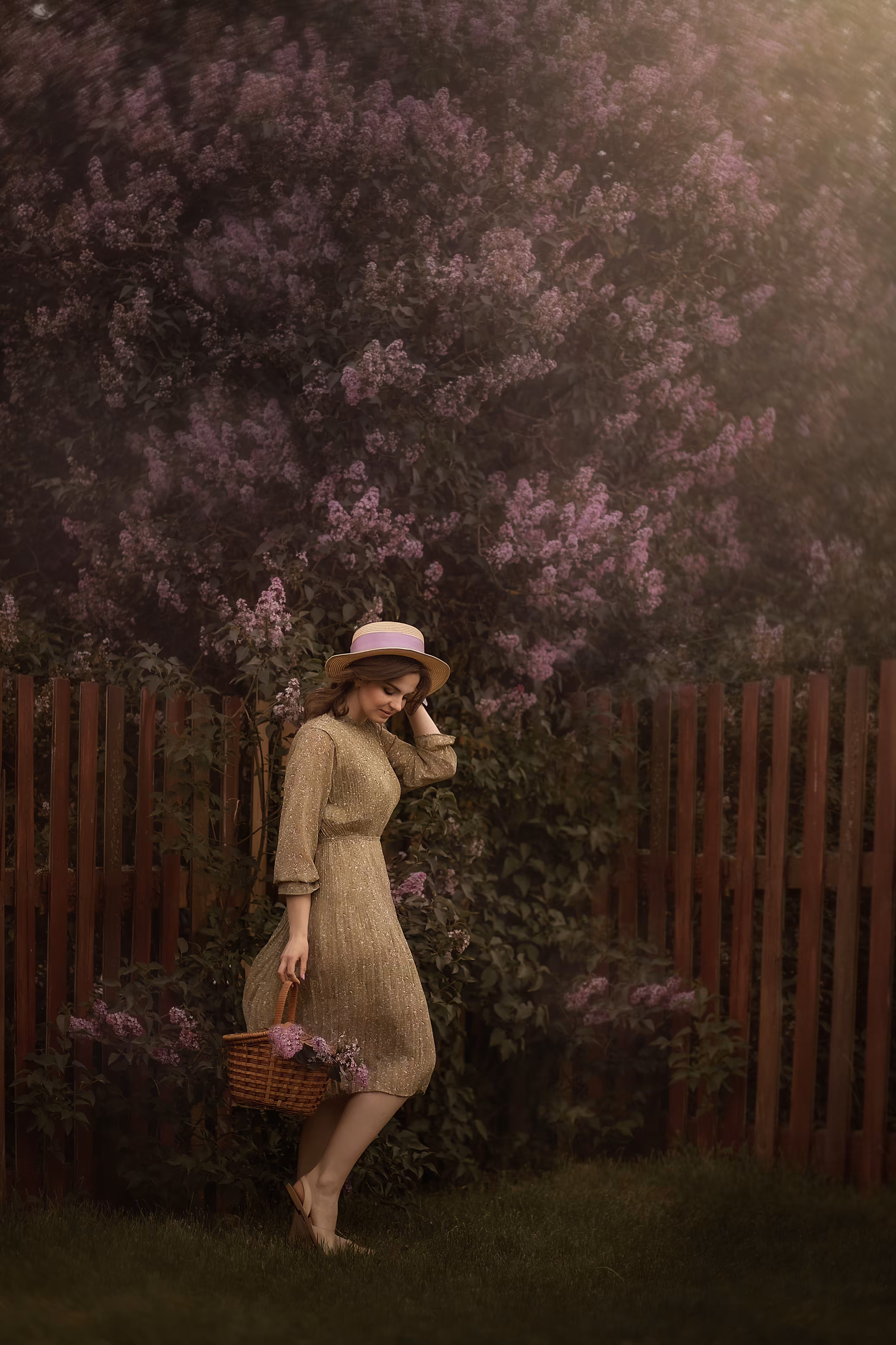 Lilac Dream