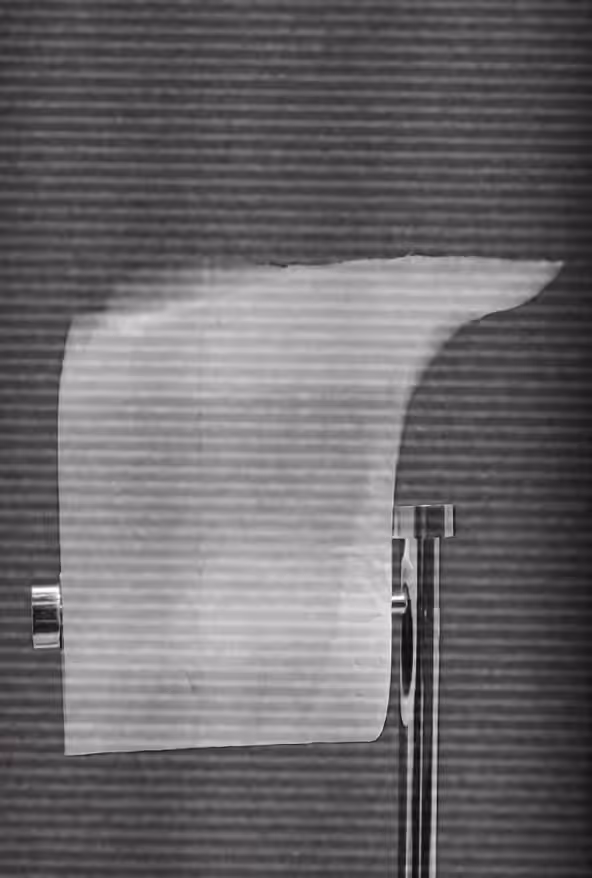 Toilet Haiku + 