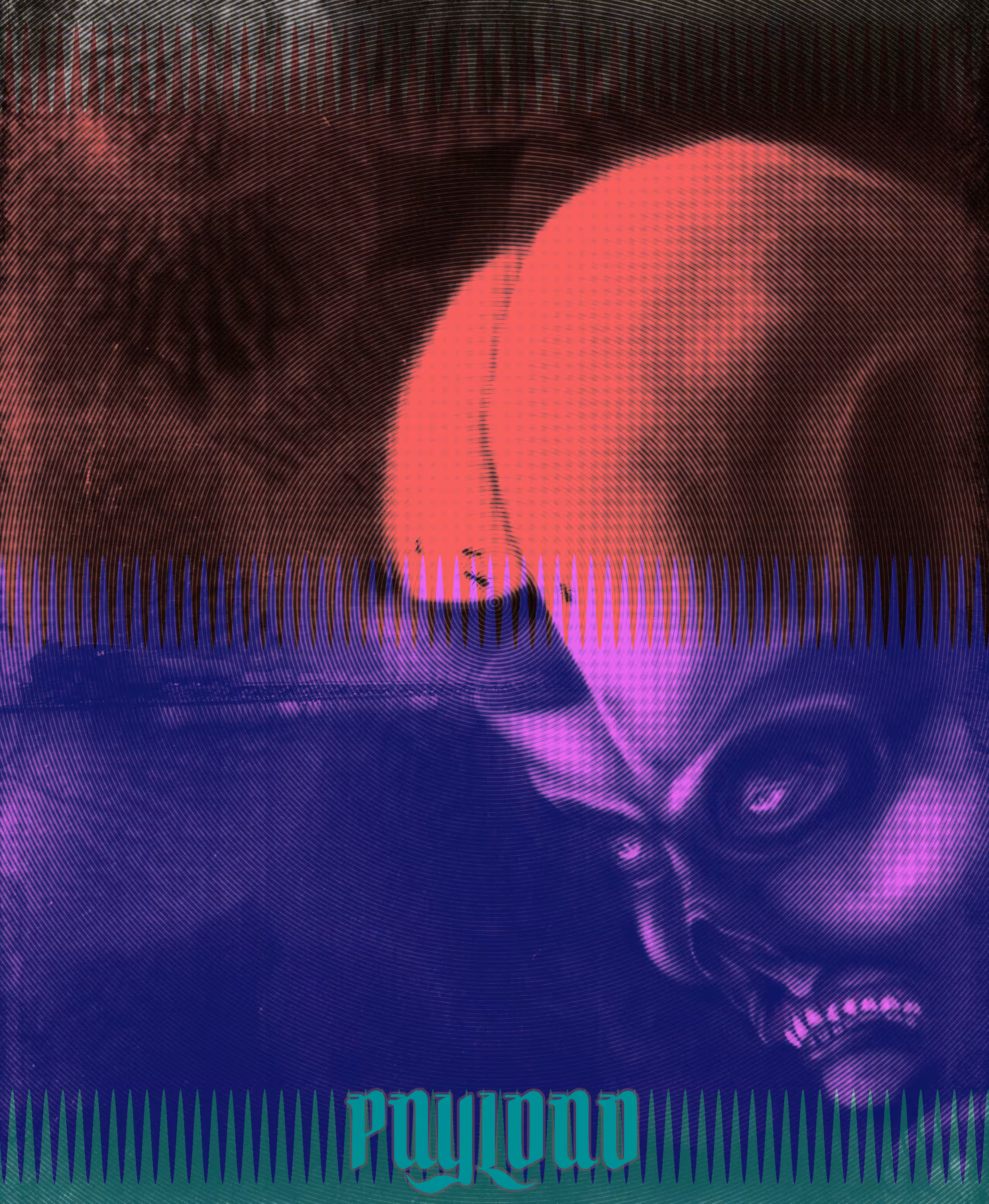 Payload