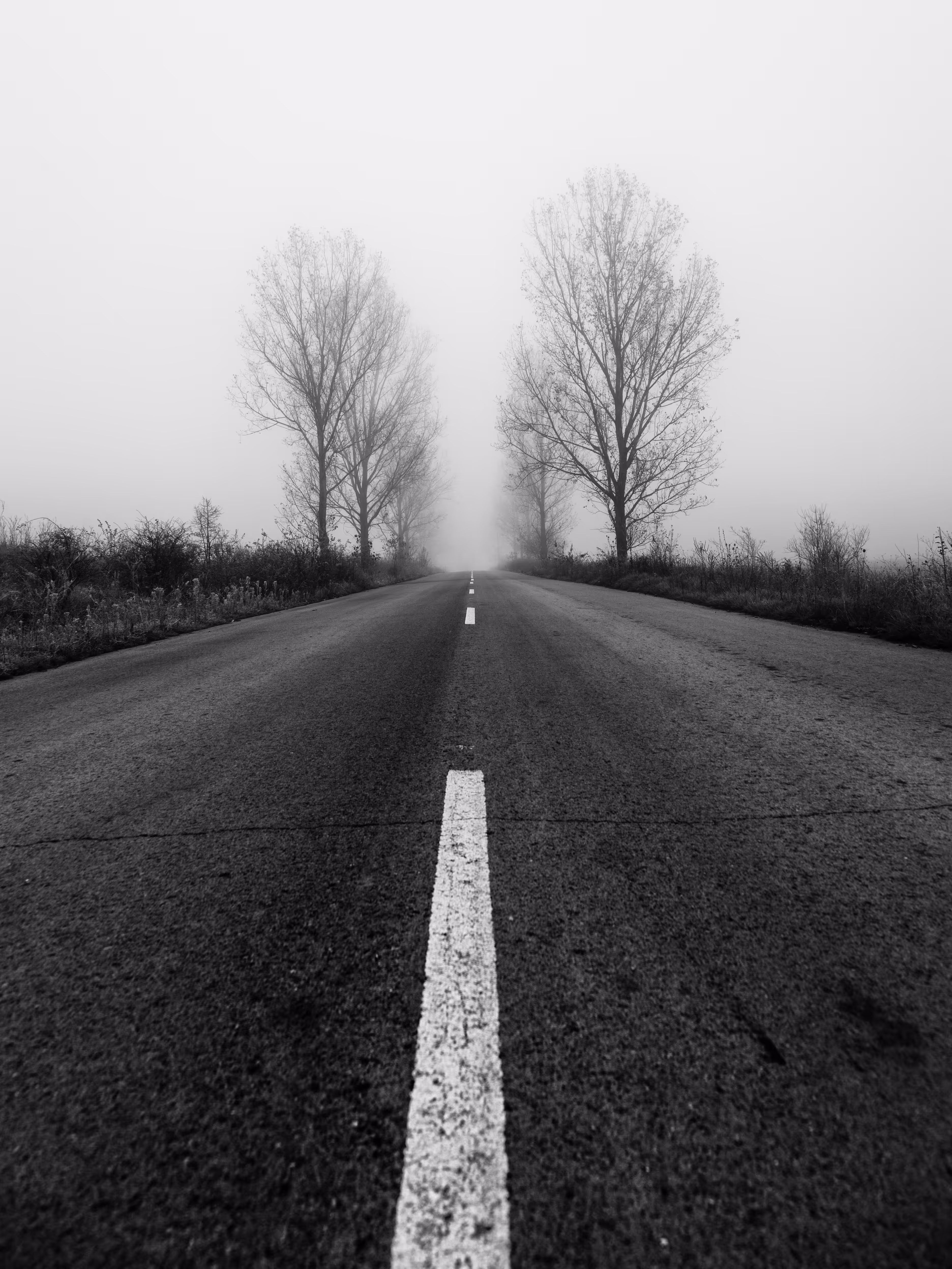 Road to nowhere