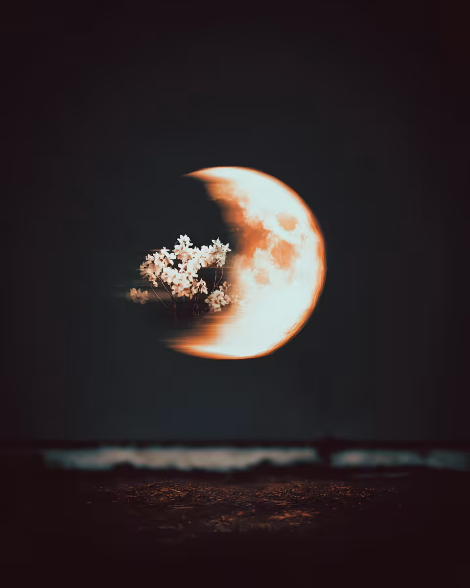 Night Doesn’t Insist