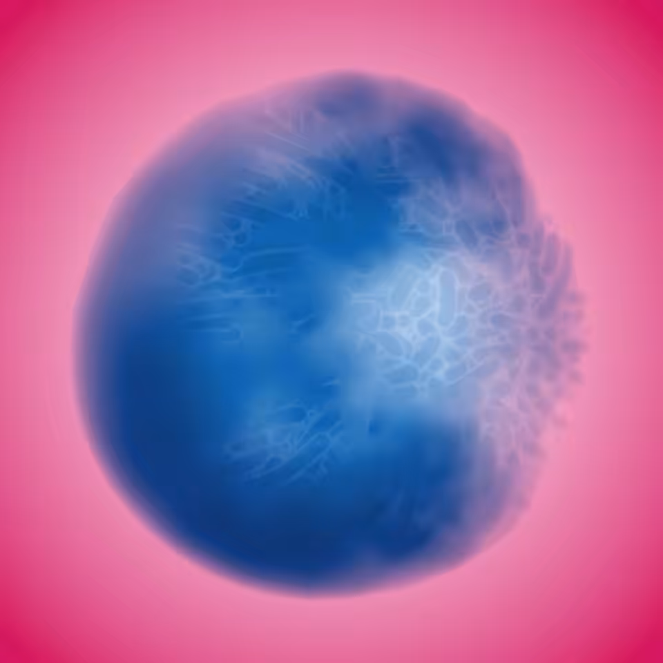 Blue Moon