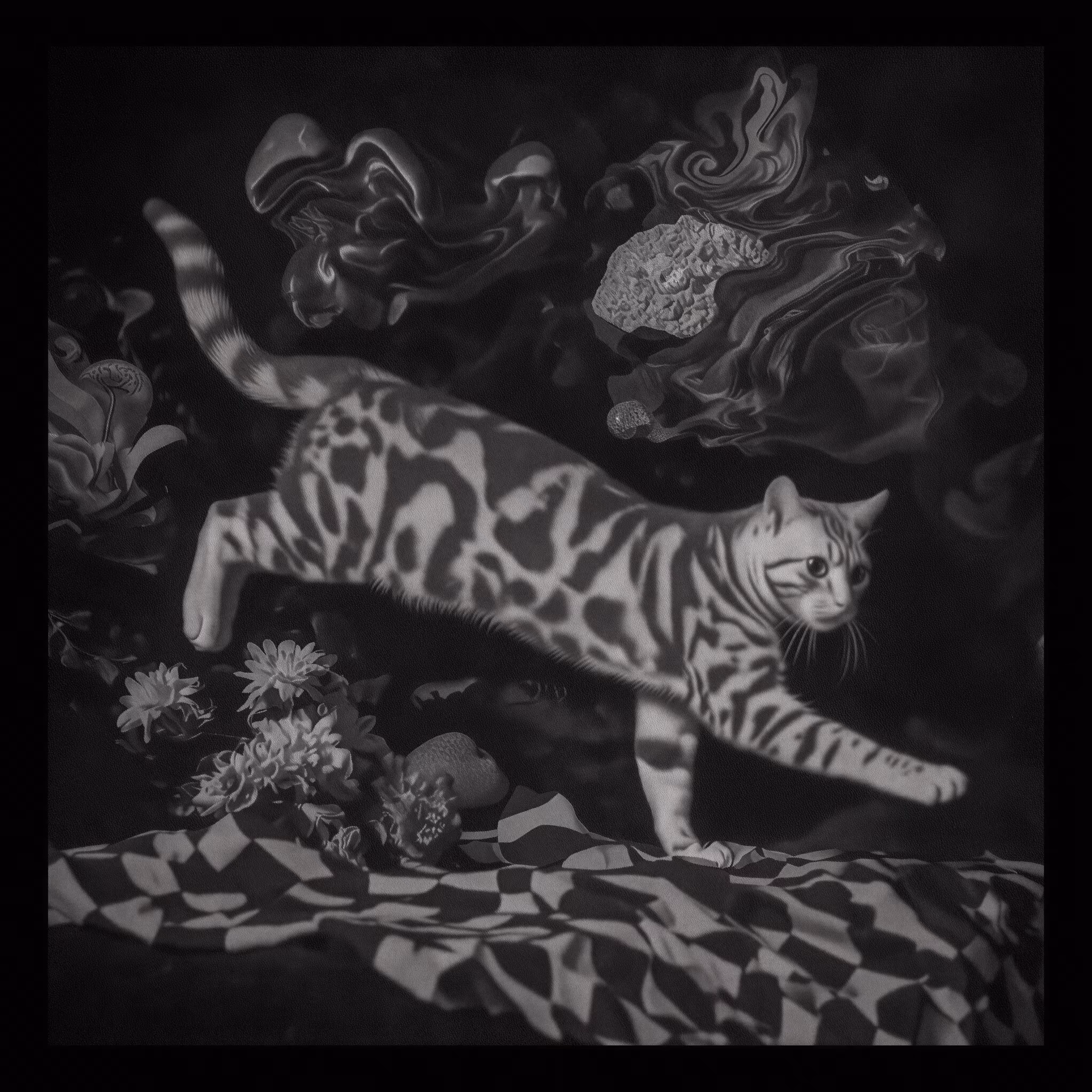 the floor remembers a different cat