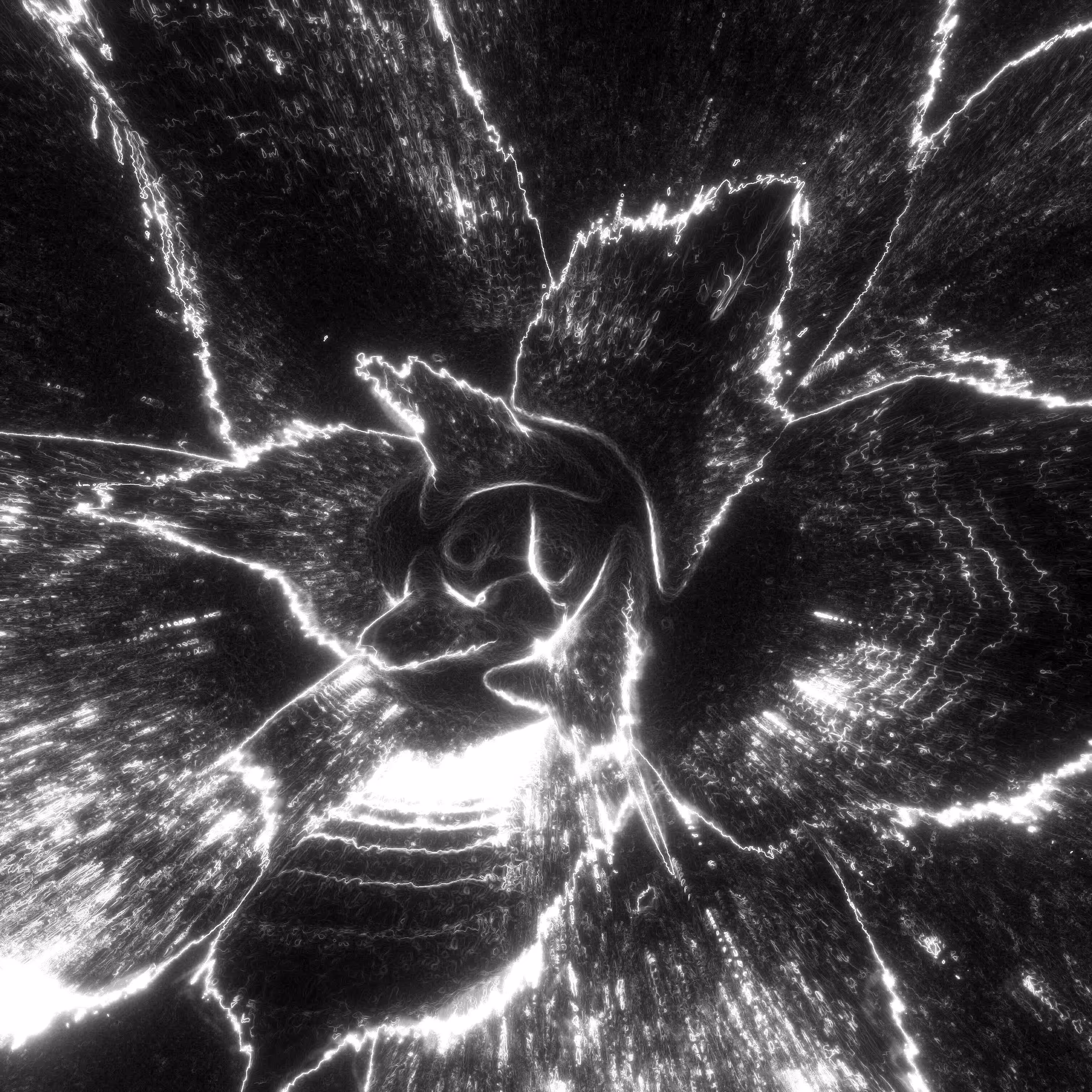 Spectral Flora