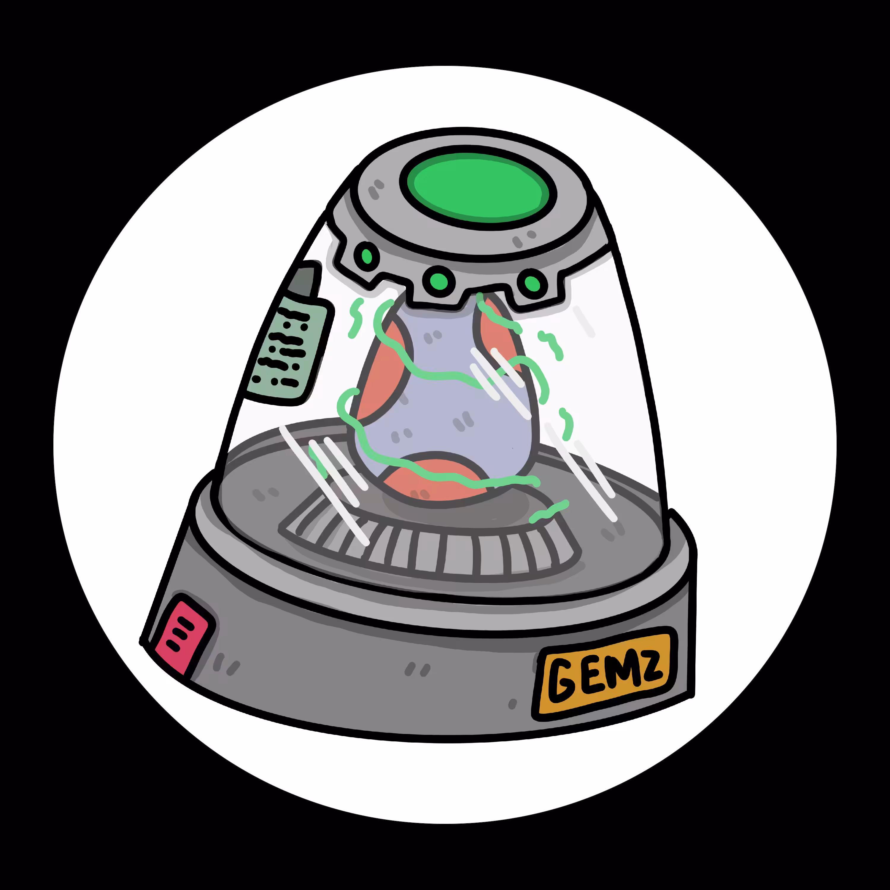 GEMZ INCUBATOR