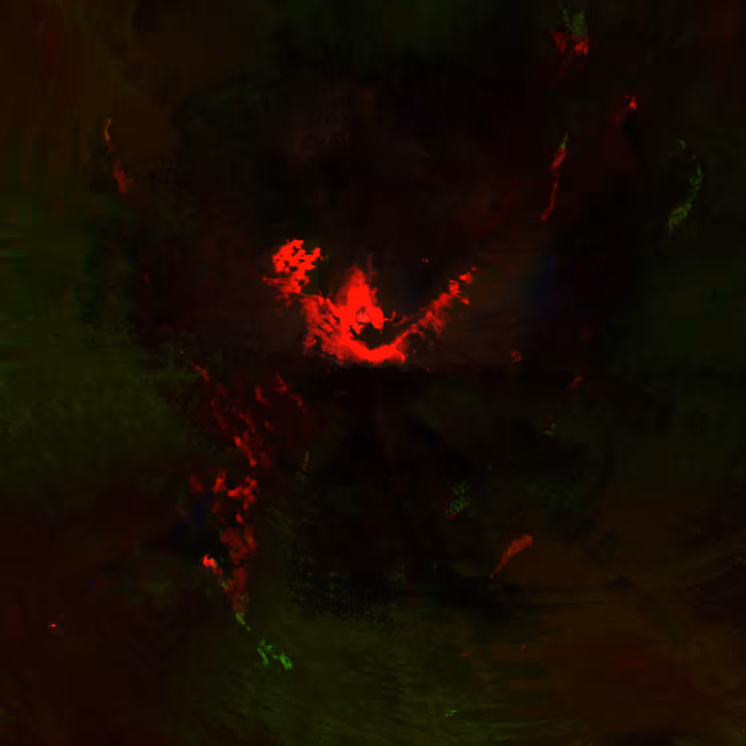 Psychodel 02