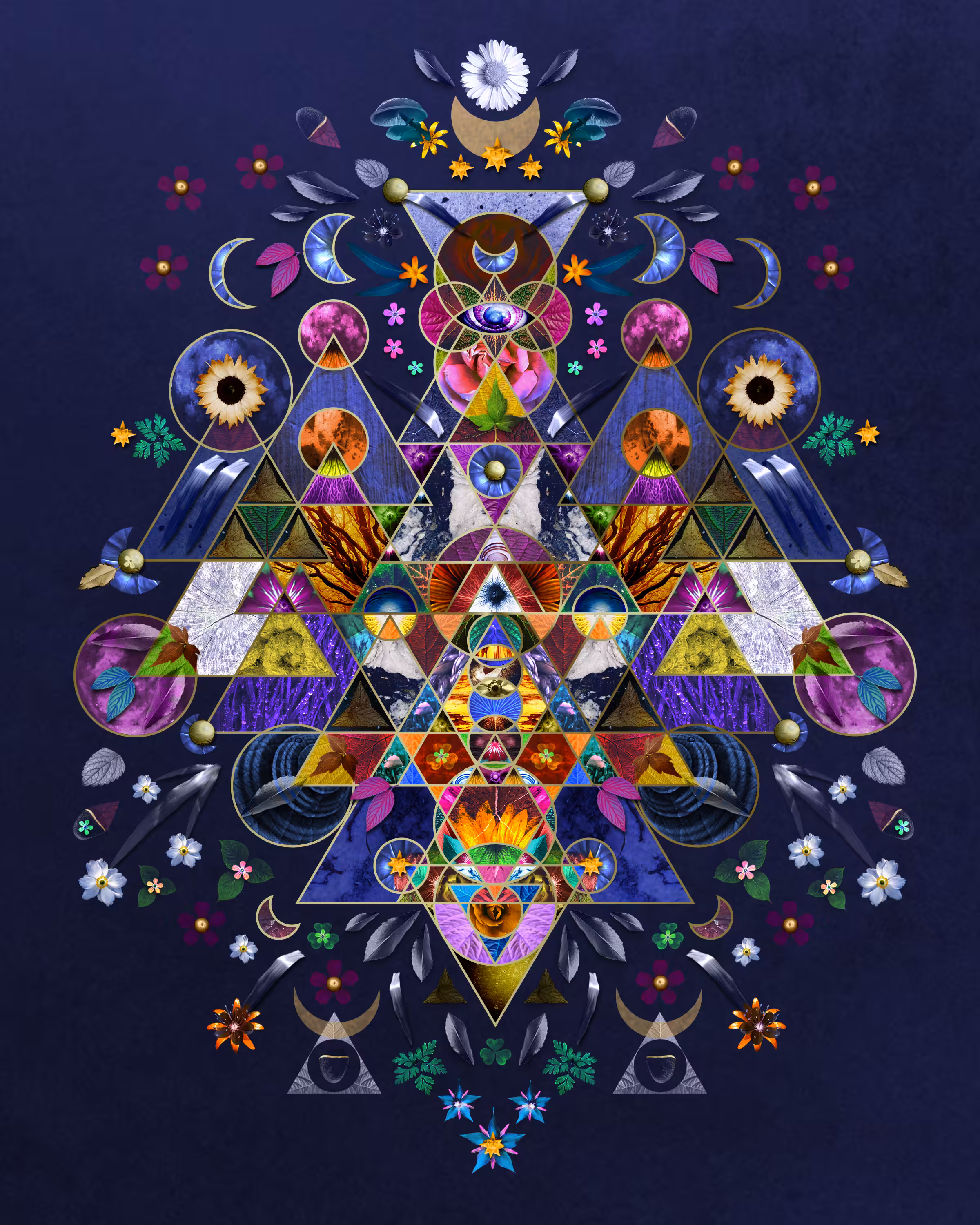 Primary Nature 007