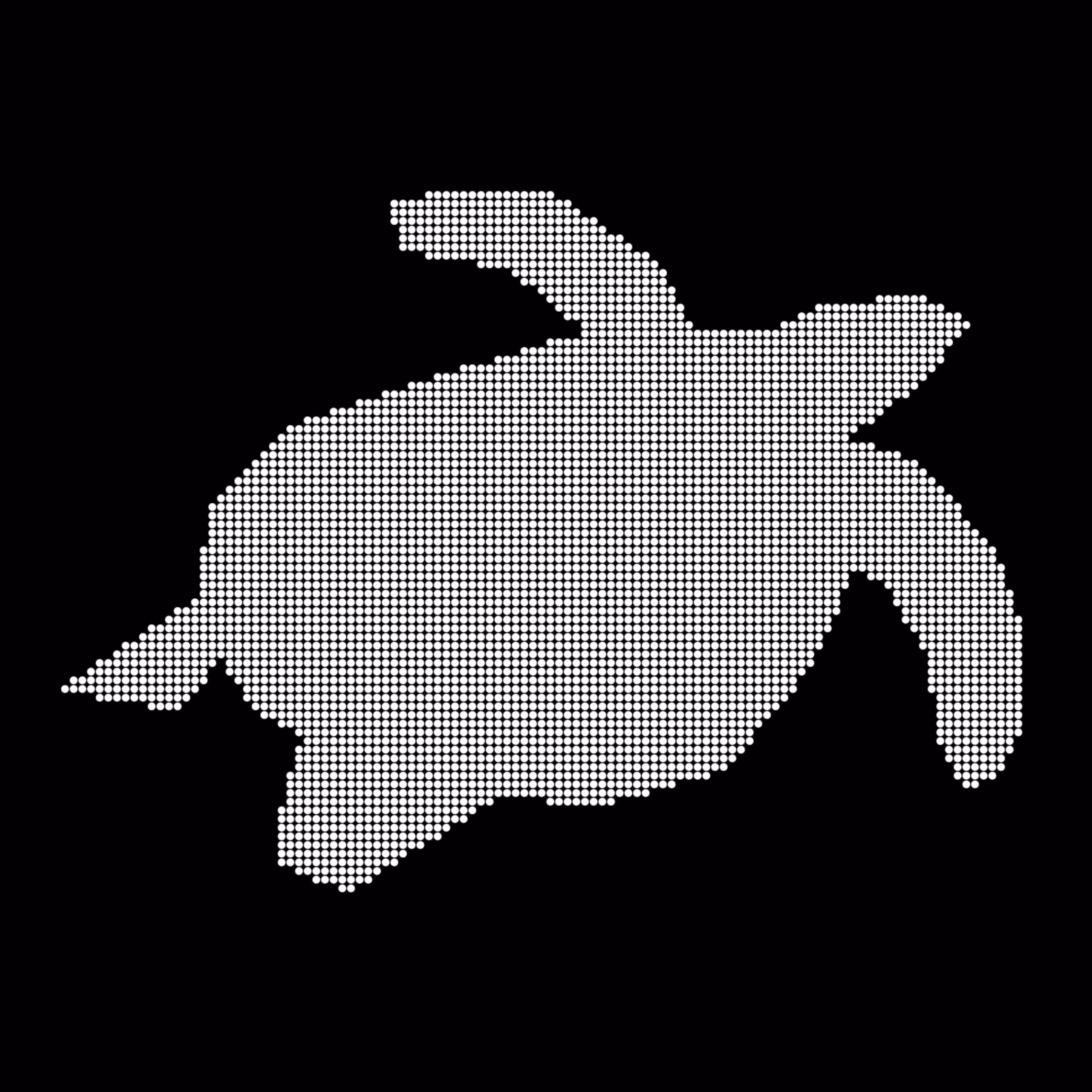 Caltech Studies (Braille): Hawksbill 67