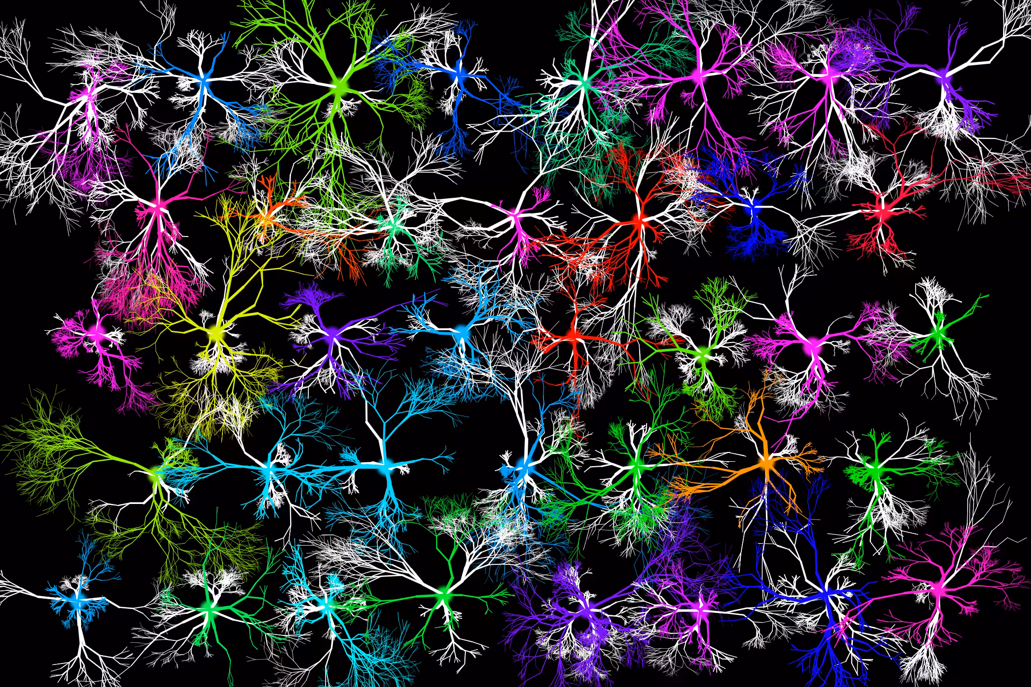 Phuz Tessellation #7