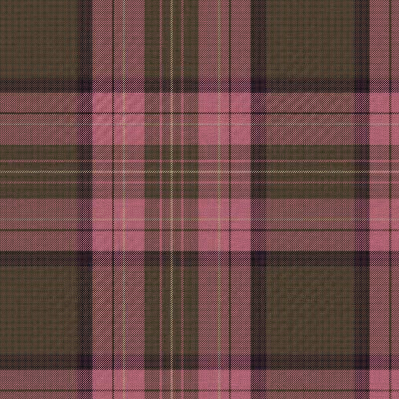 Tartan Cloth #22