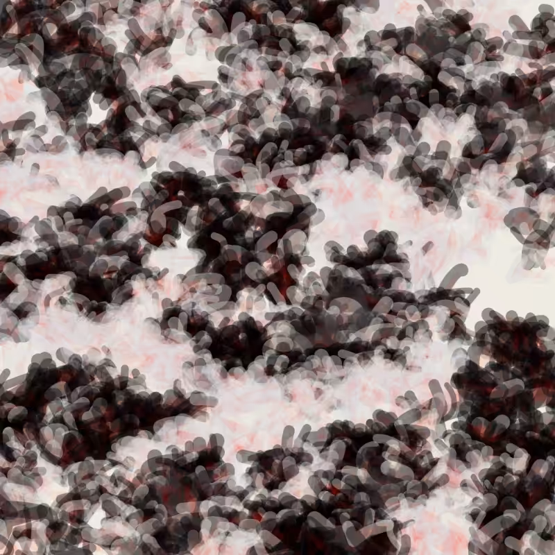 Petri 1500 #1459