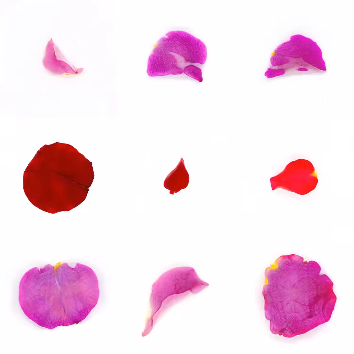 Infinite Petals 3x3#3773