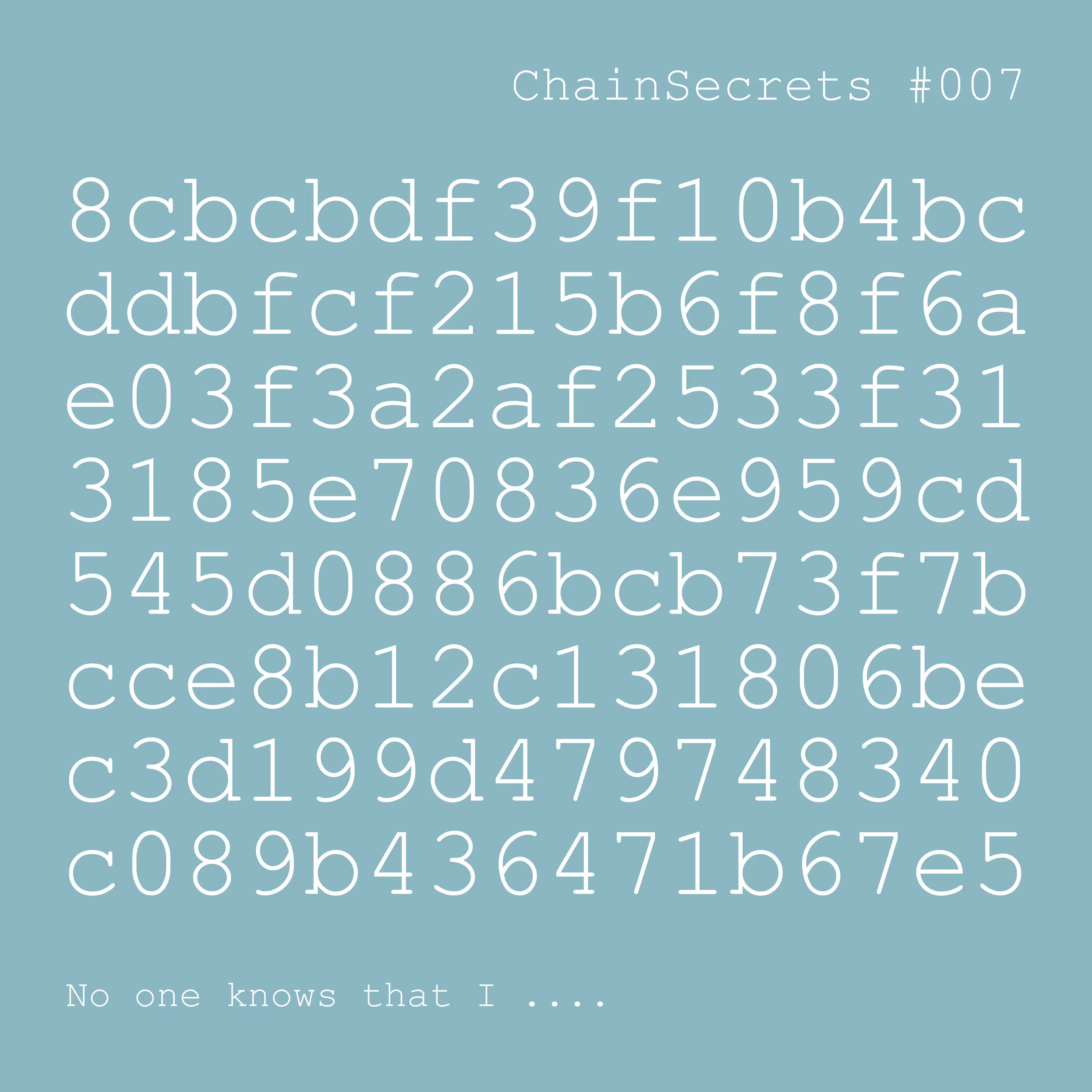 ChainSecrets #007 No one knows that I ...