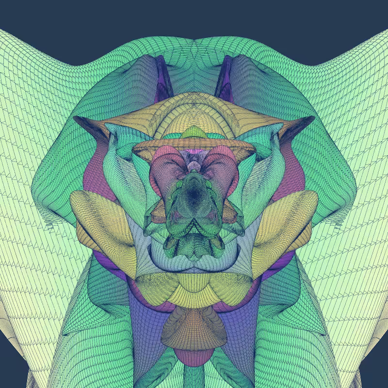 Zaratan #86