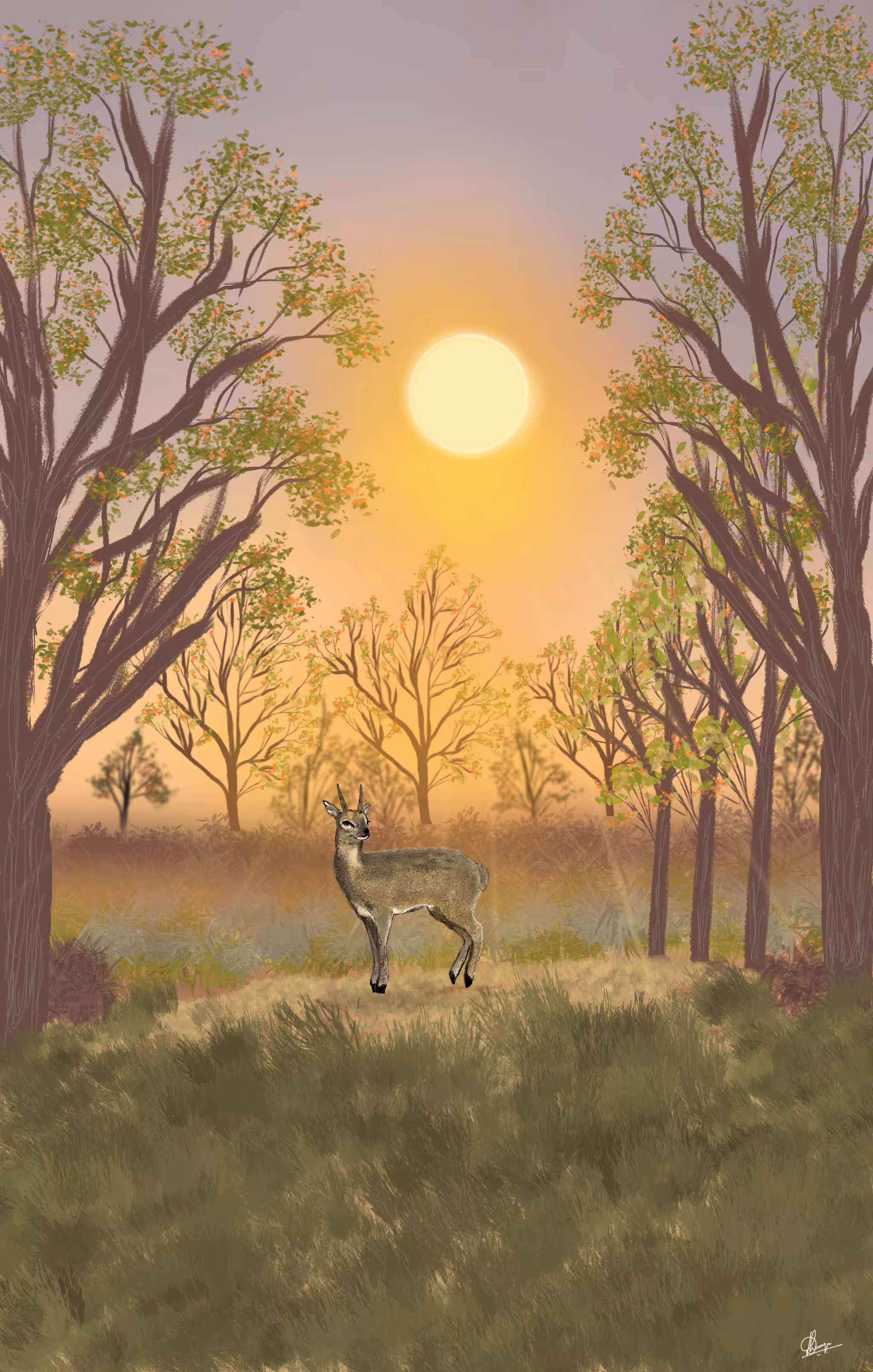 Summer Solstice