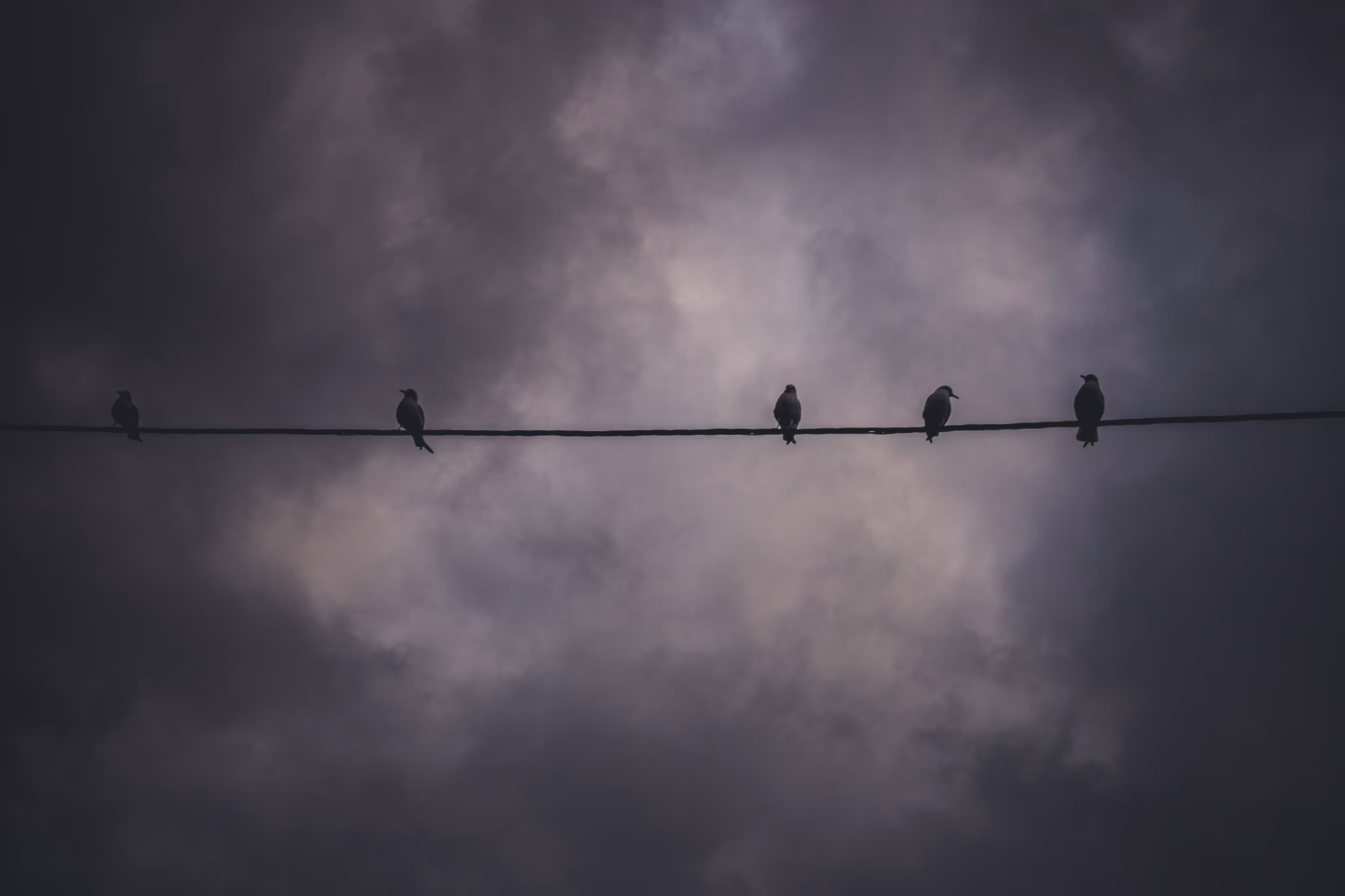Life line
