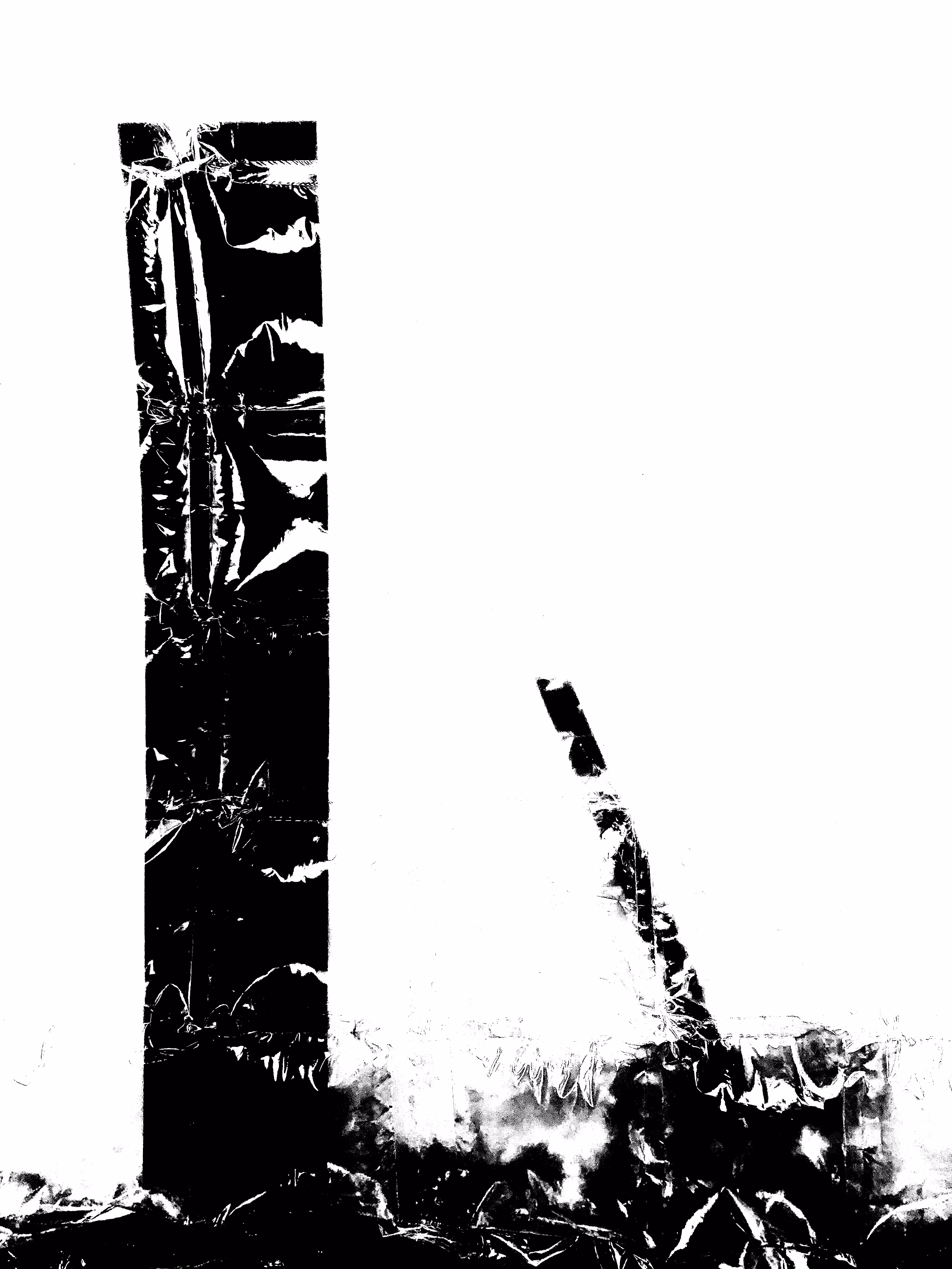 Totem