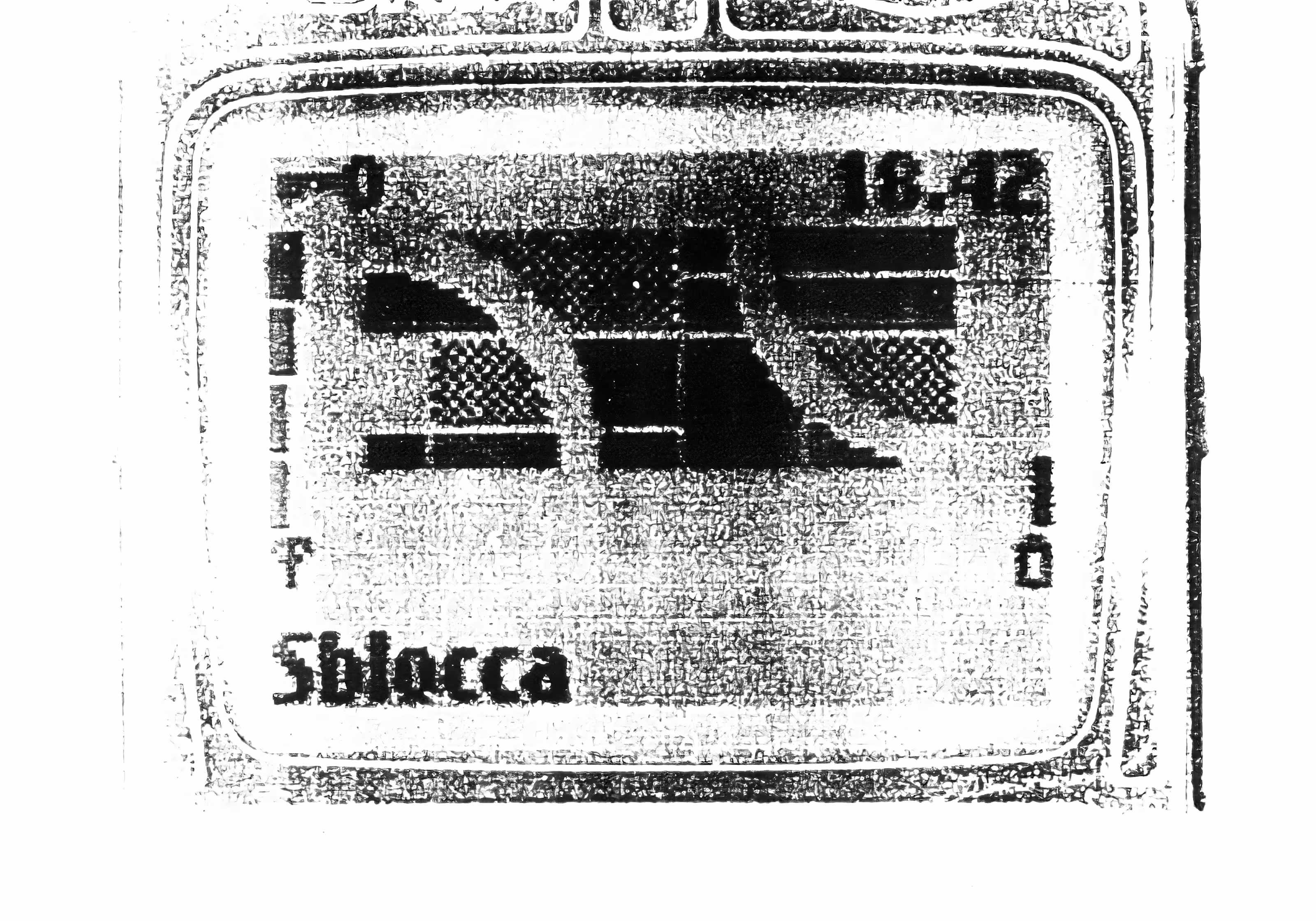 Analogic Zoom 03