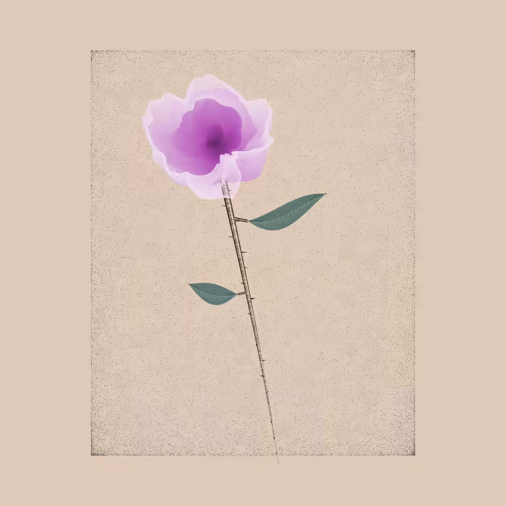 Magnolia #5