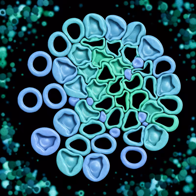 Haemo Globs #404
