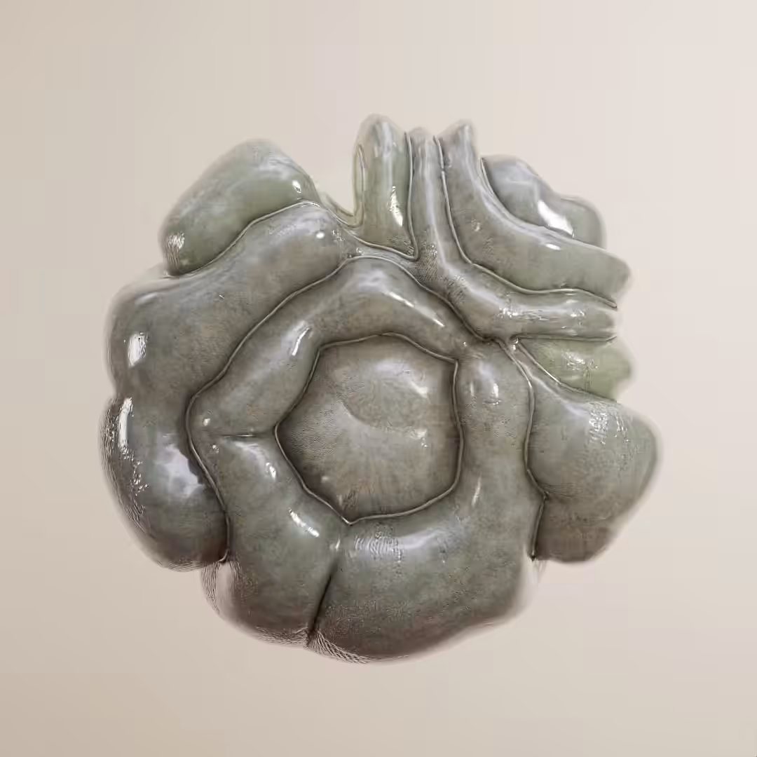 Digestion 2