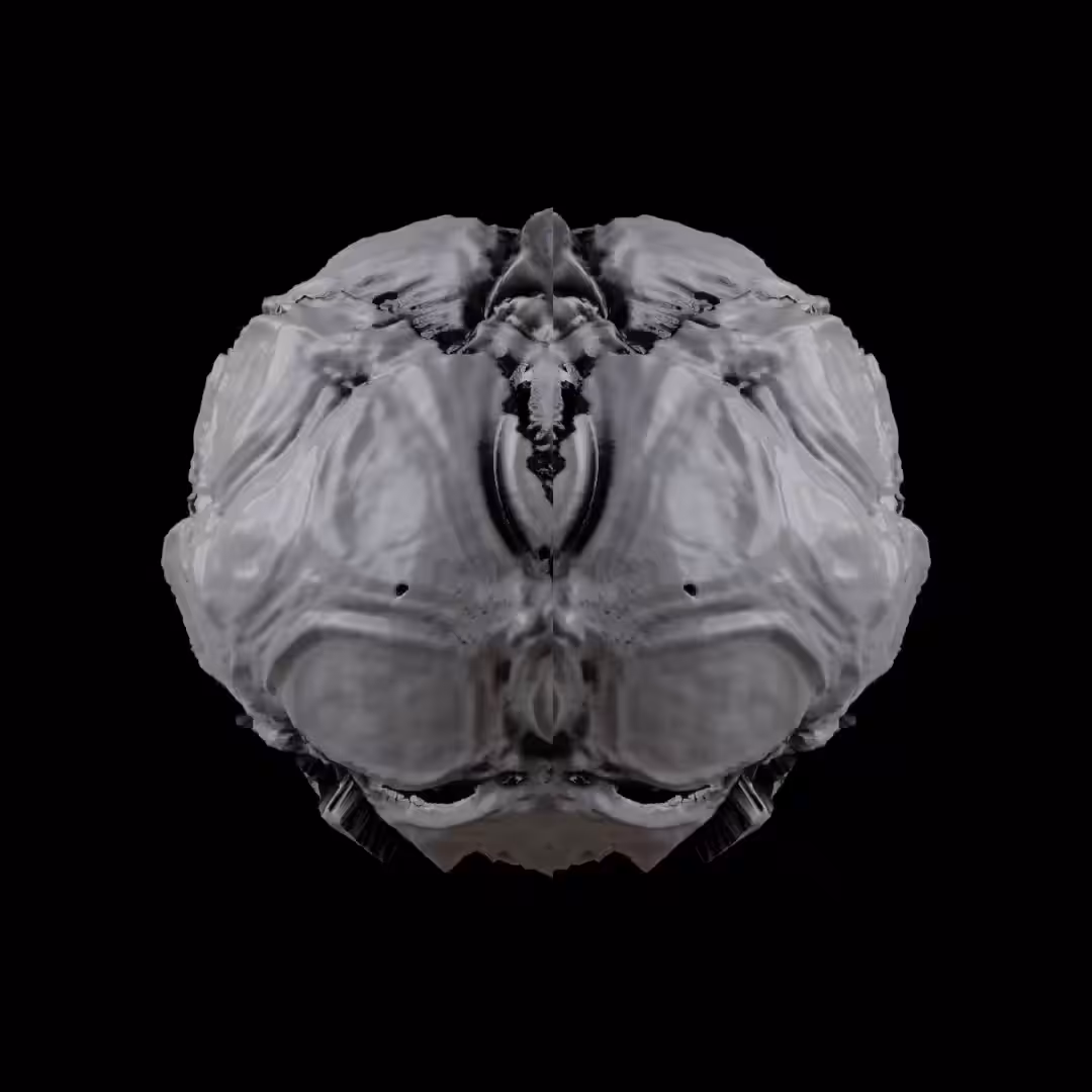 Pareidoliadic