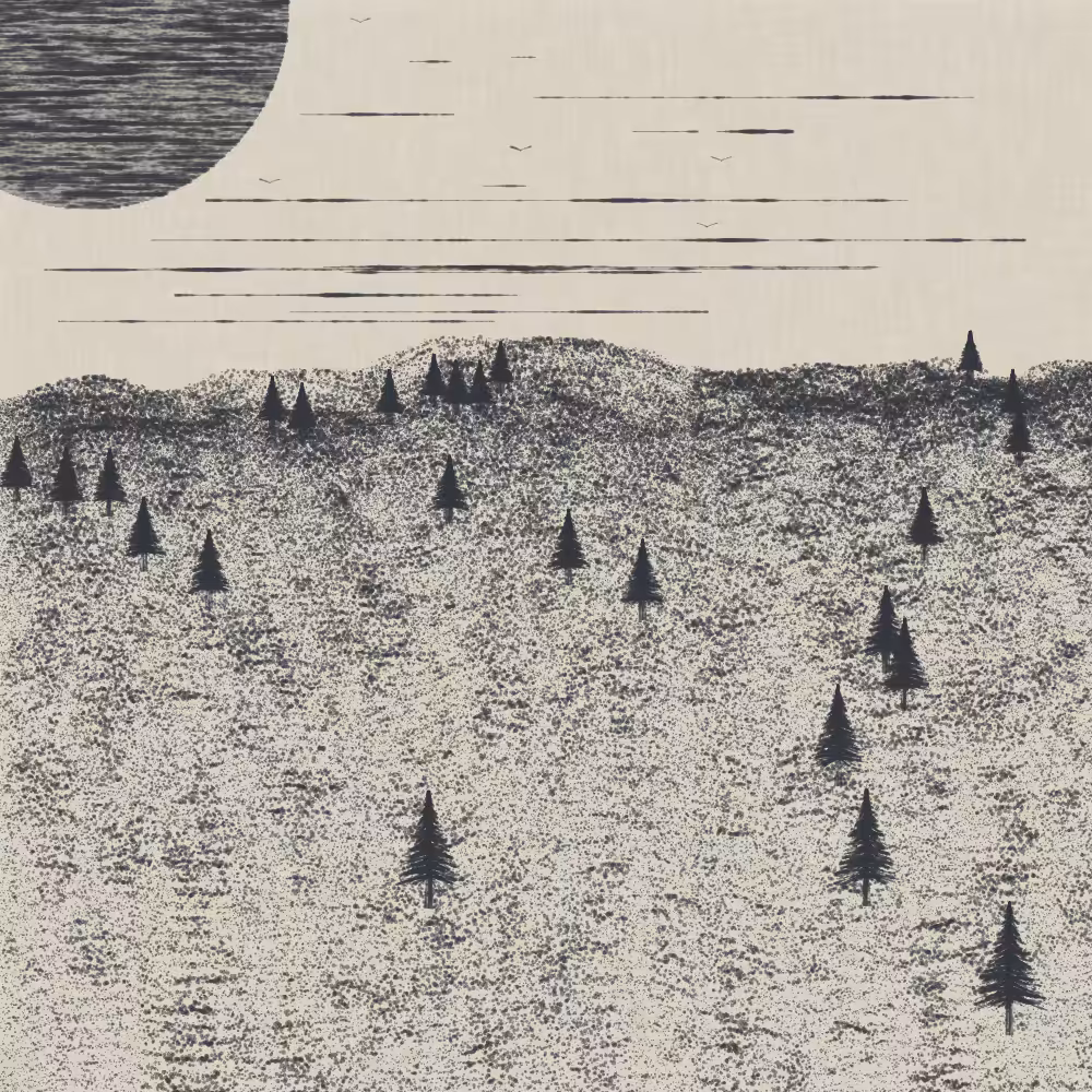 Pine Dream #122