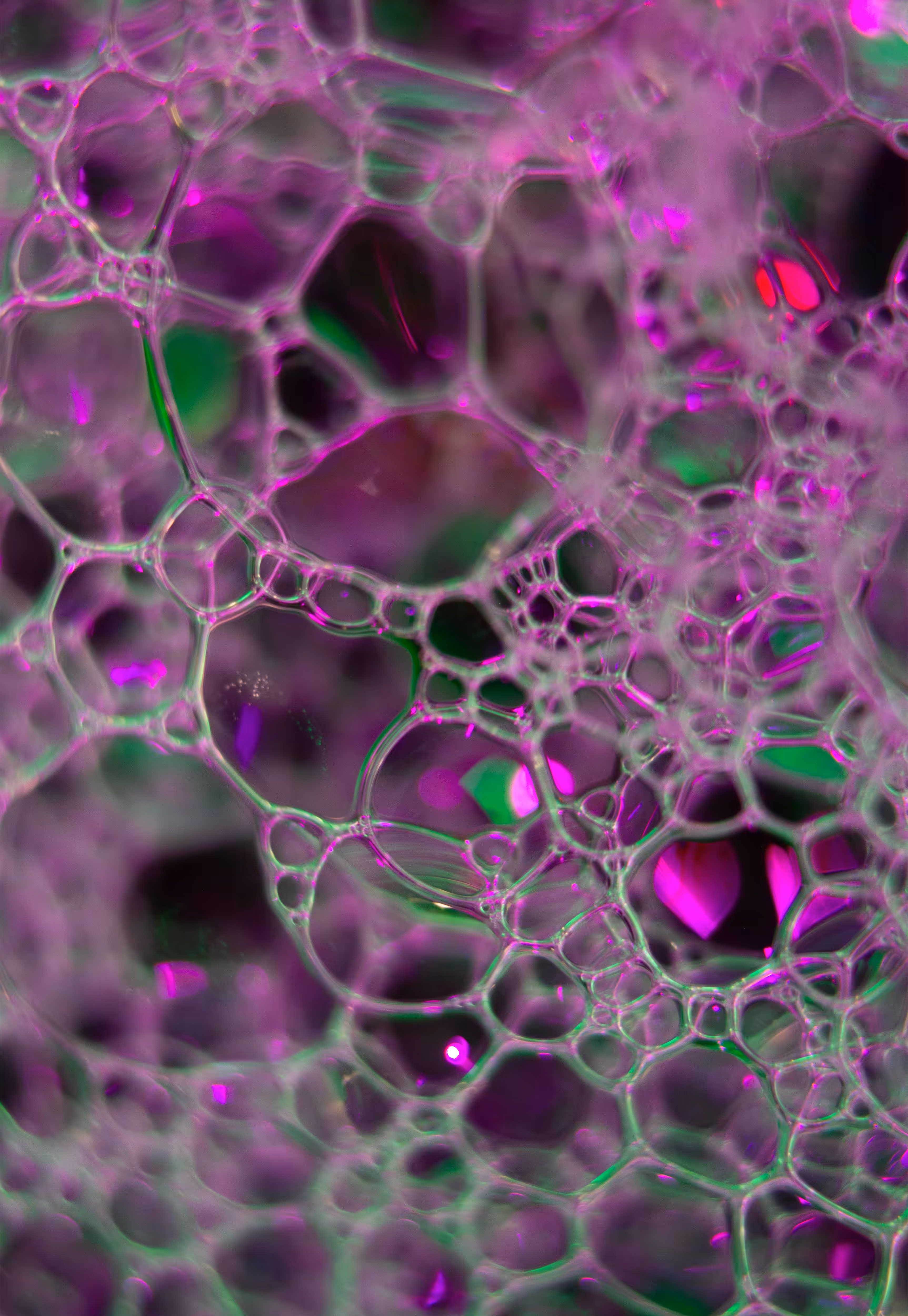 Abstract World of Soap Bubbles: #17 Bubbles
