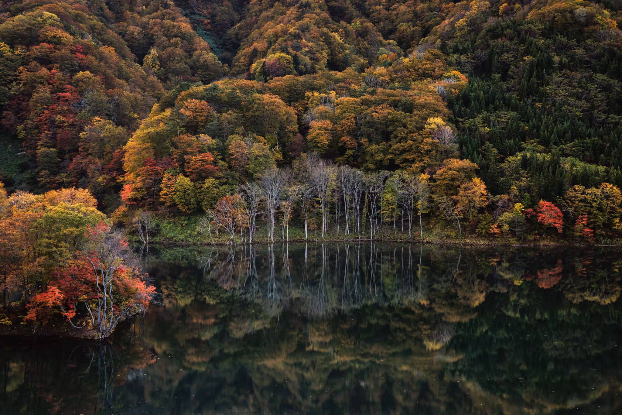 Mysterious lake