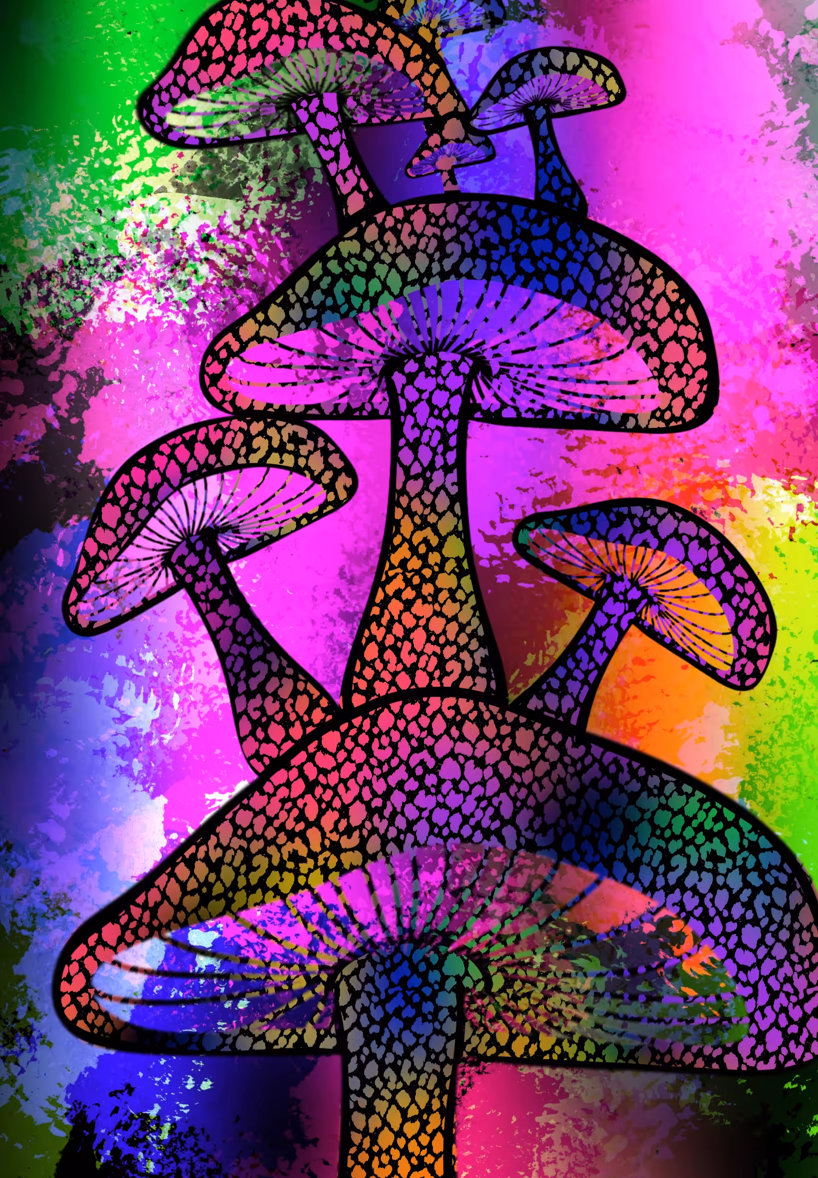 Magic Rainbows 