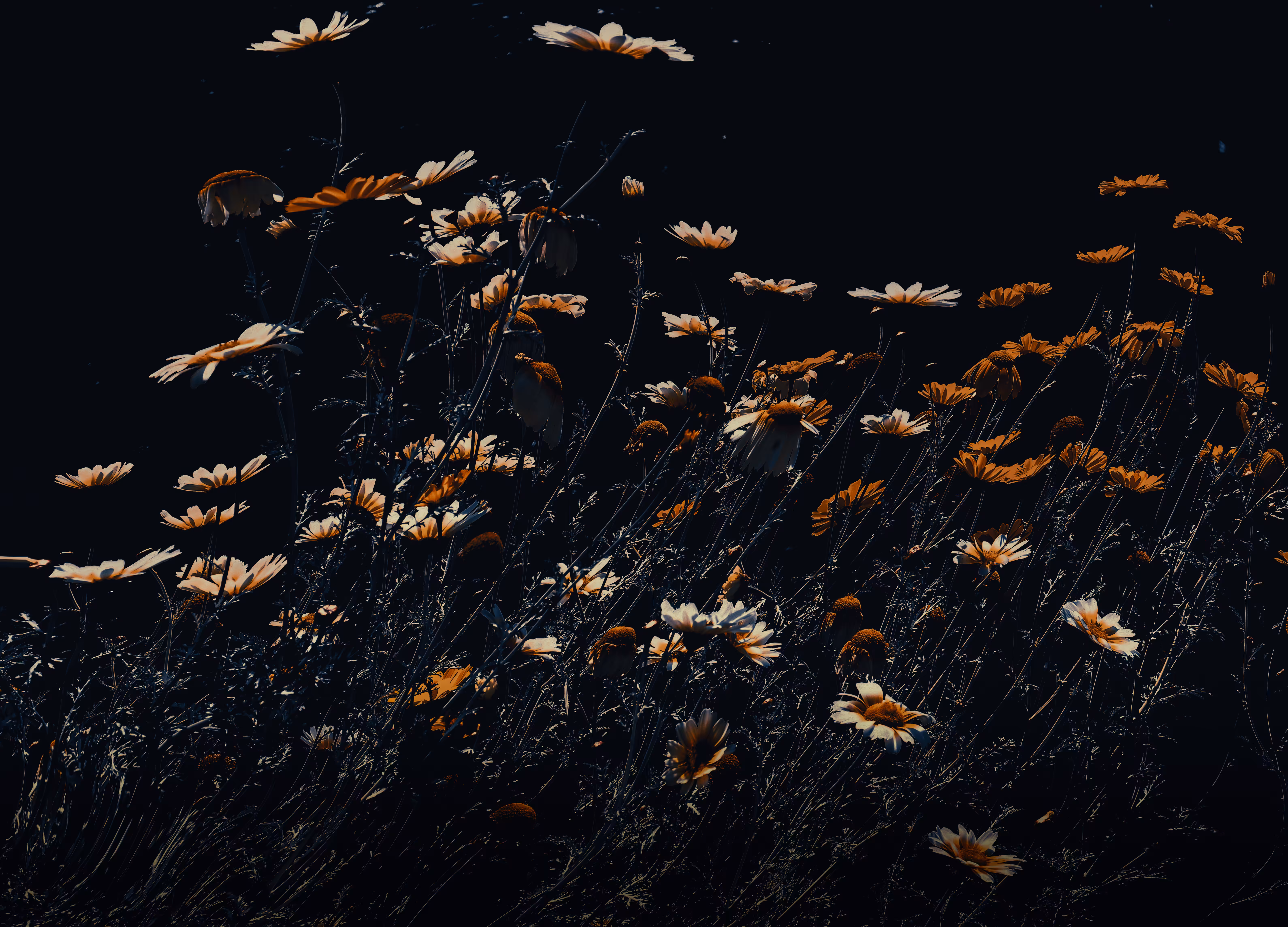 The wind blows naked