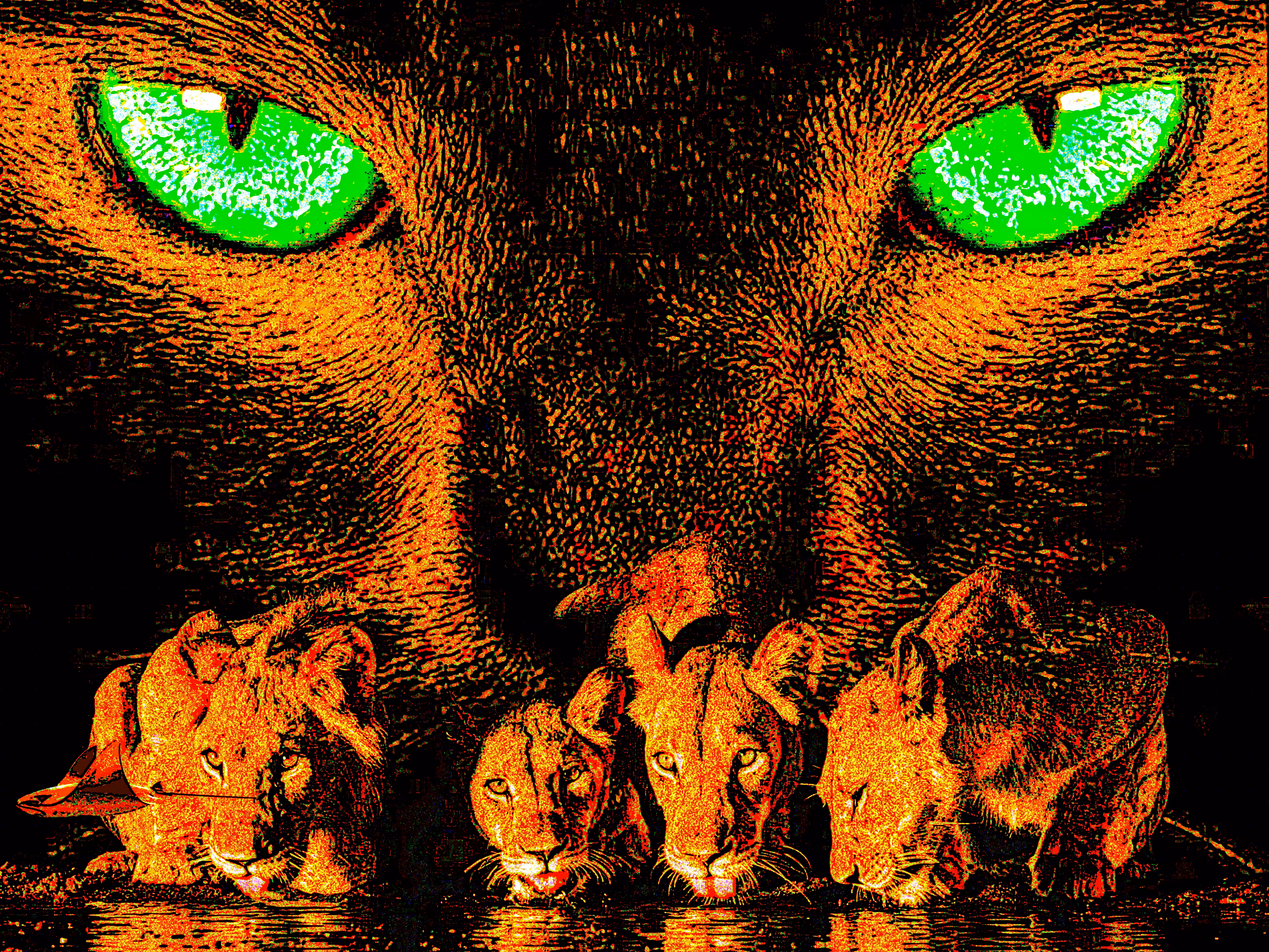 Photo Manipulation Art : Feline Visions