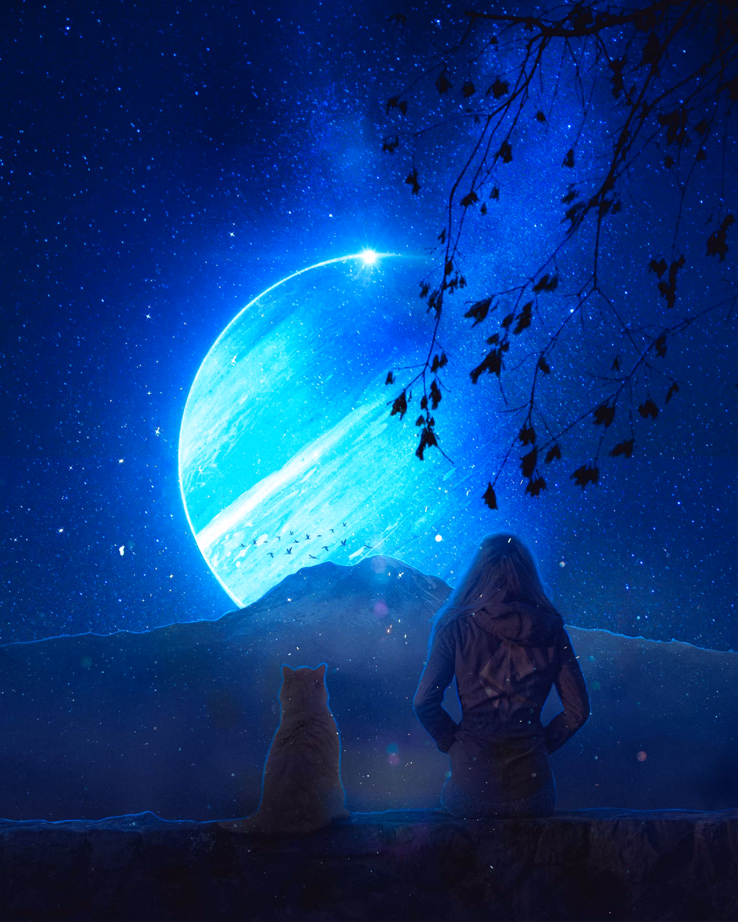 STARGAZING