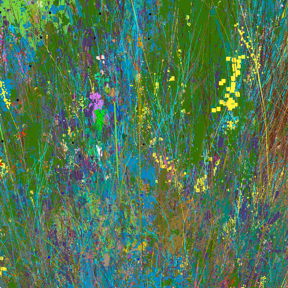 Infinite Garden: 775836 Flowers