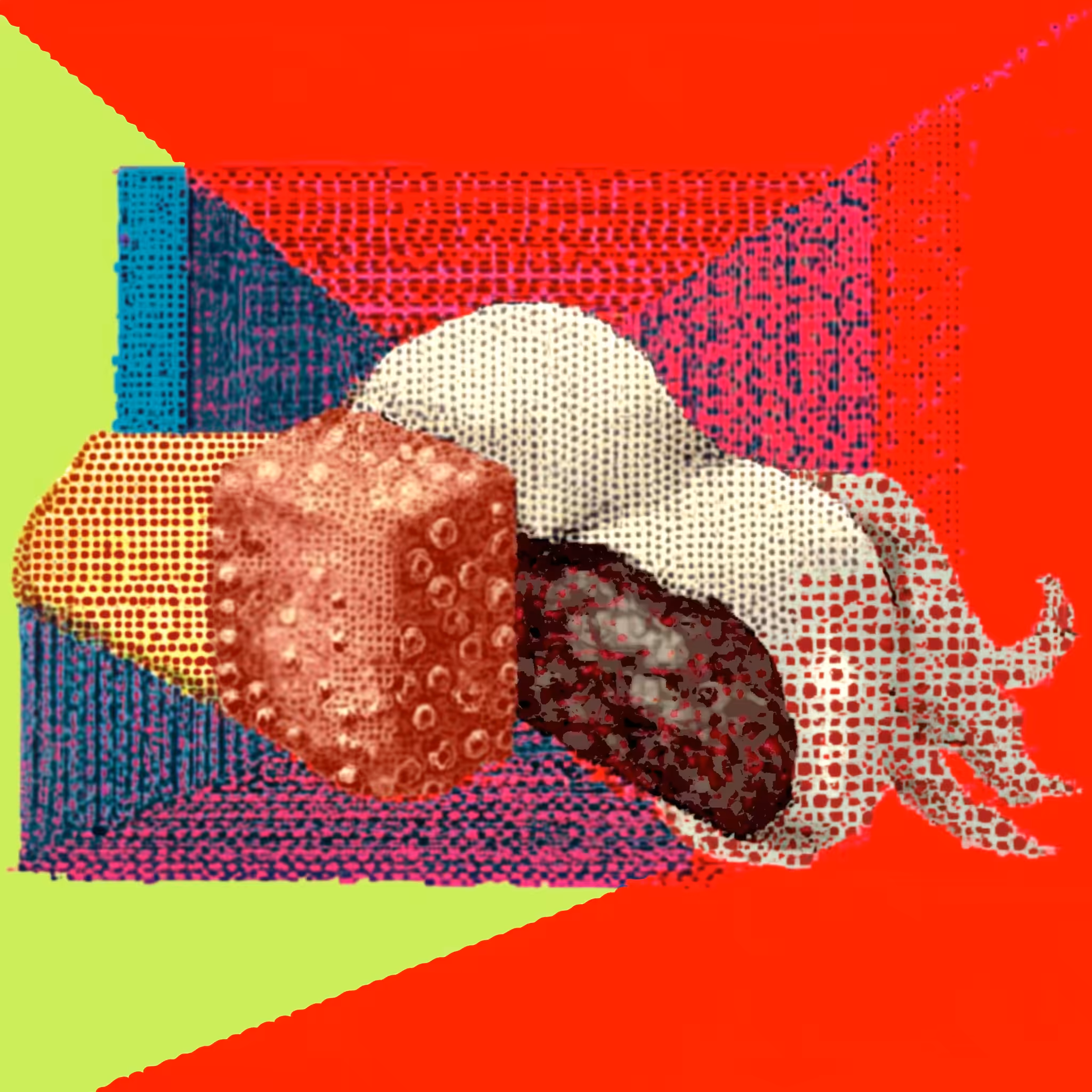 𝘛𝘢𝘬𝘰