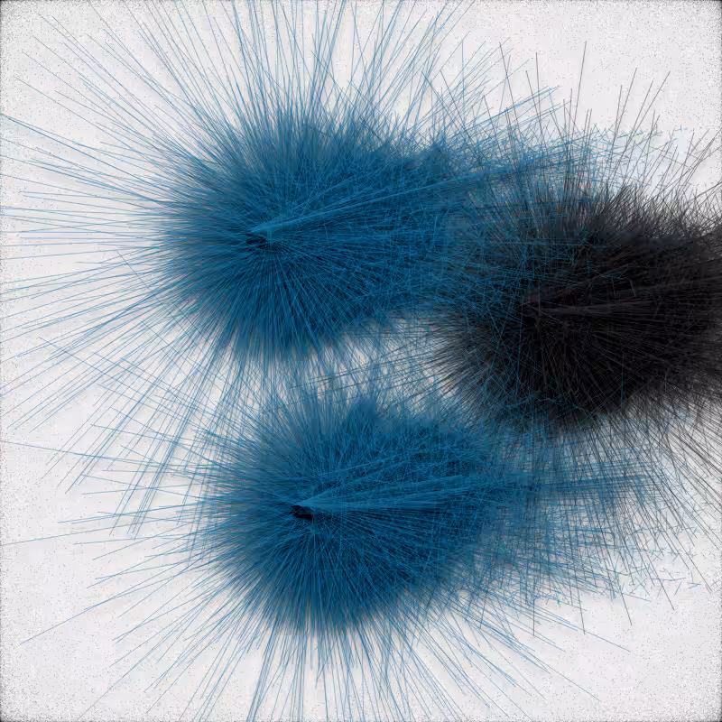 urchin #72