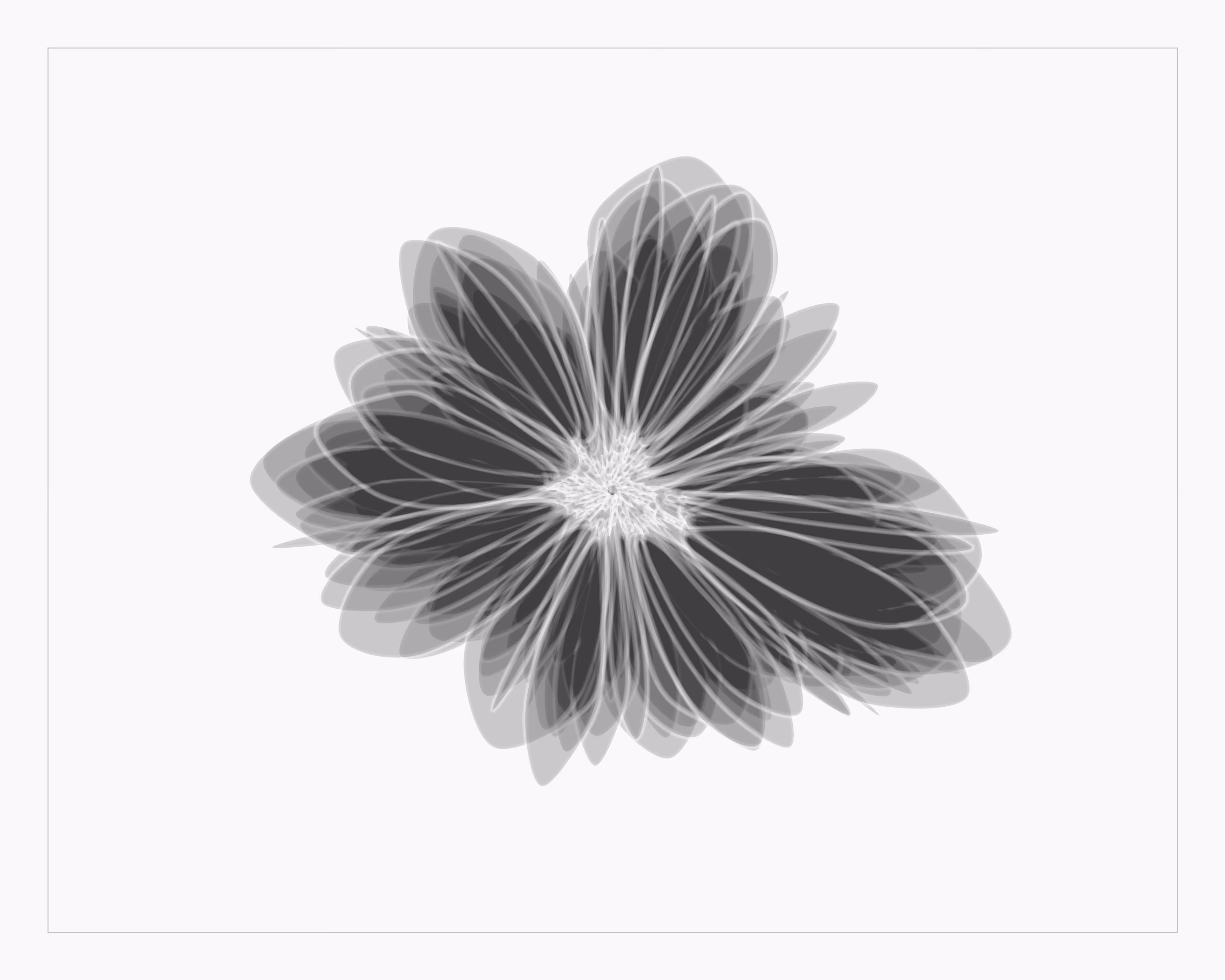 Not A Flower